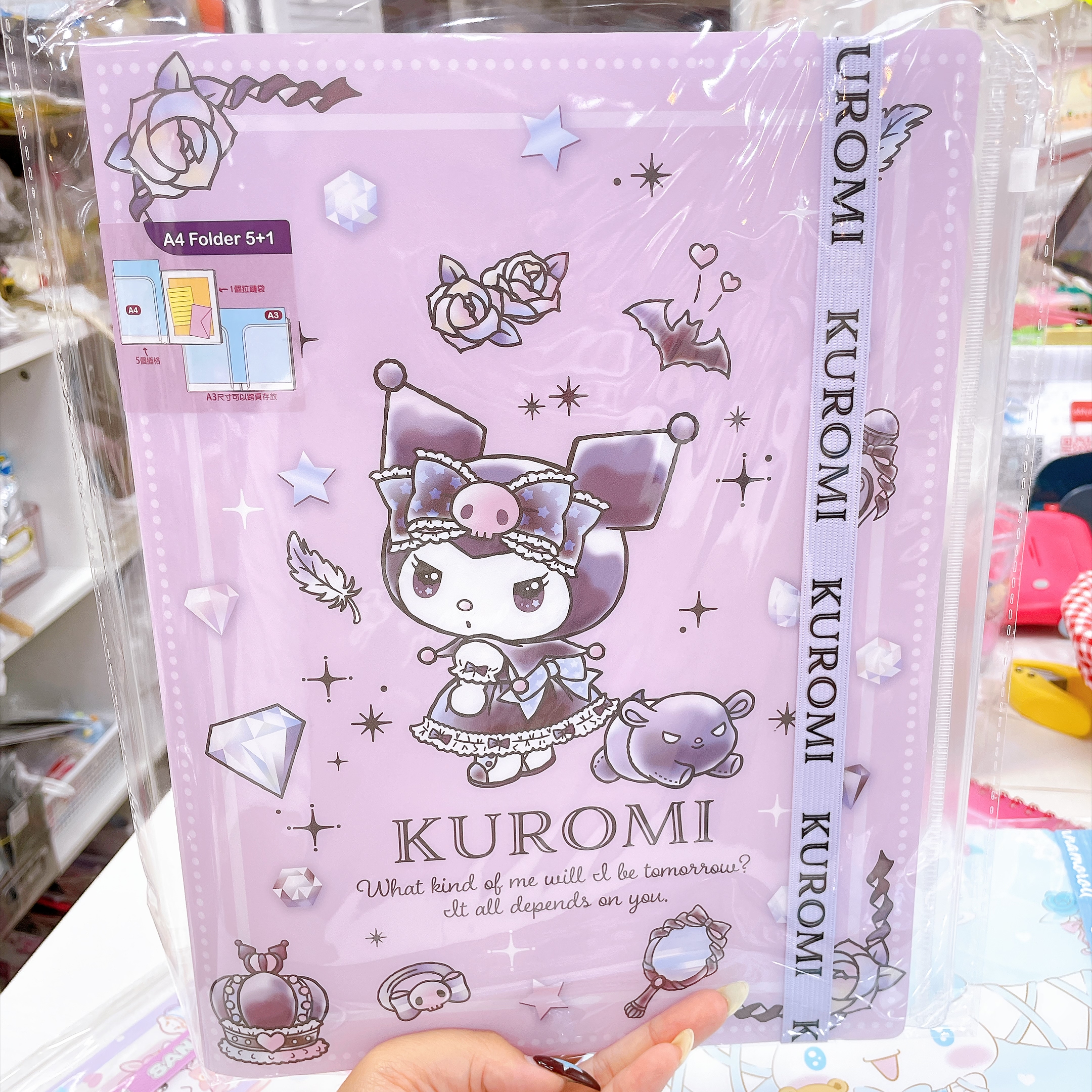 原裝行貨Sanrio  A4 文件夾