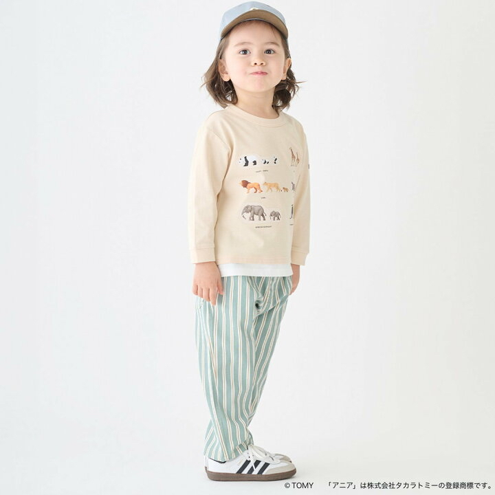 🇯🇵預訂 日本直送🇯🇵Petit Main x Tomica系列三色恐龍動物車車印花假兩件長袖T恤