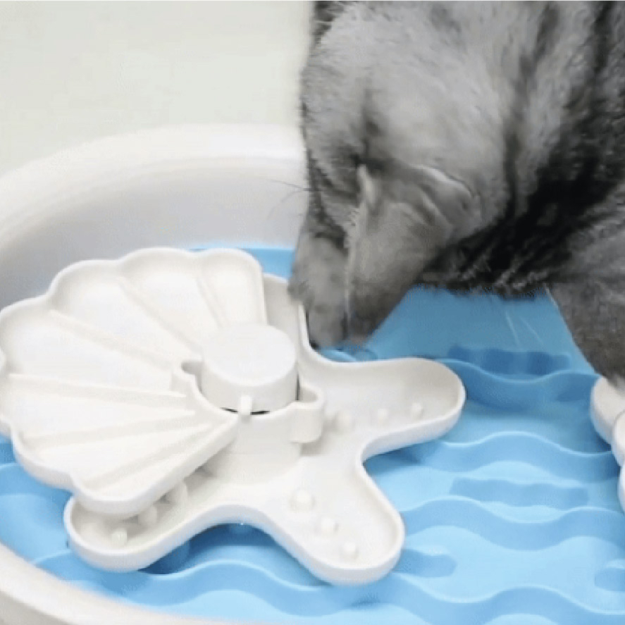 海洋乾濕分離慢食碗