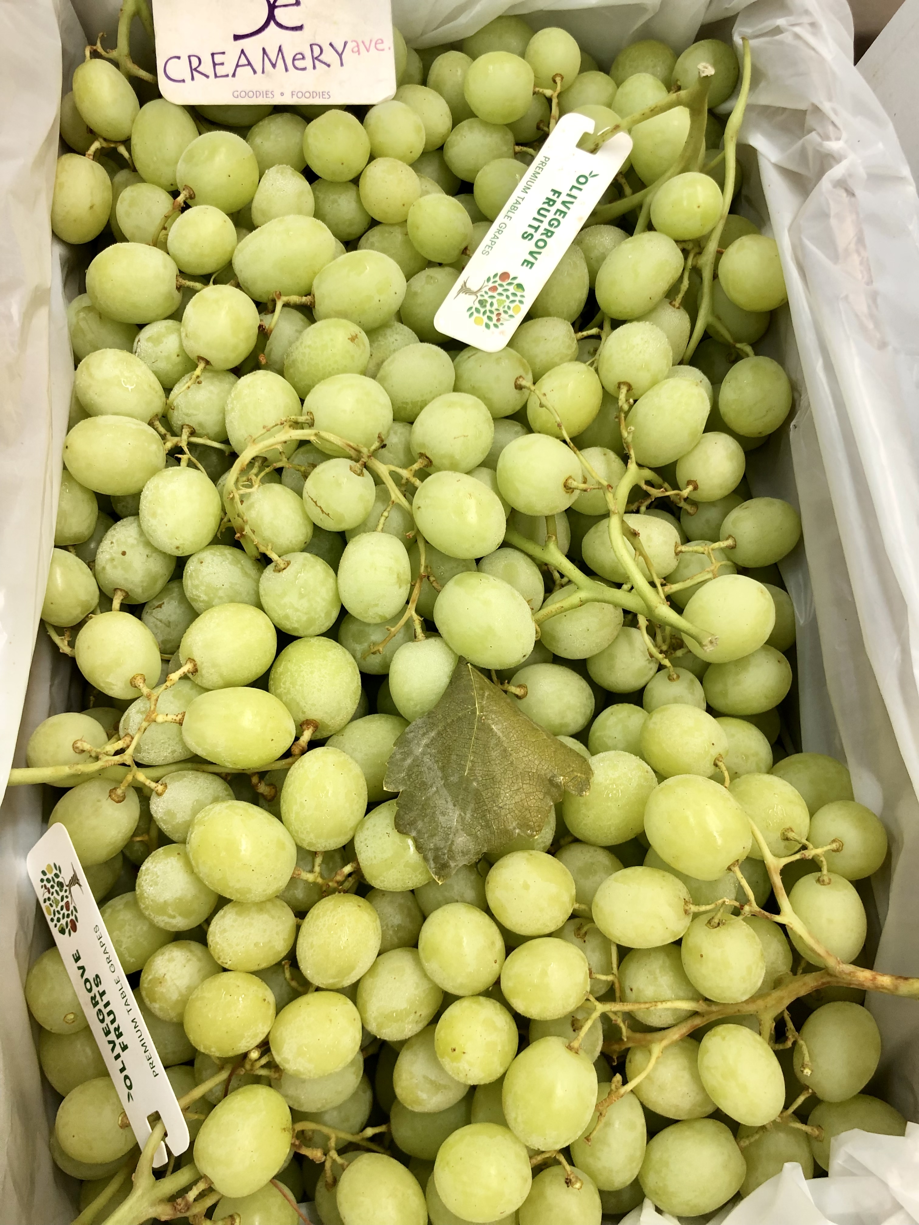 澳州 Olivegrove波子青提 Australia Premium Seedless Grape Green 2磅