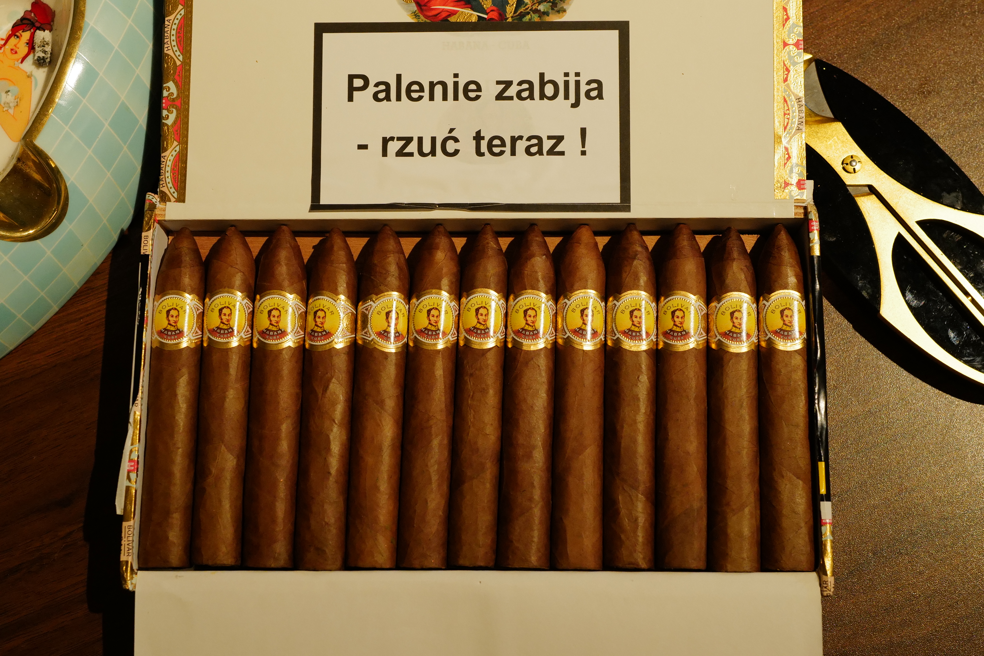 Bolívar Belicosos Finos