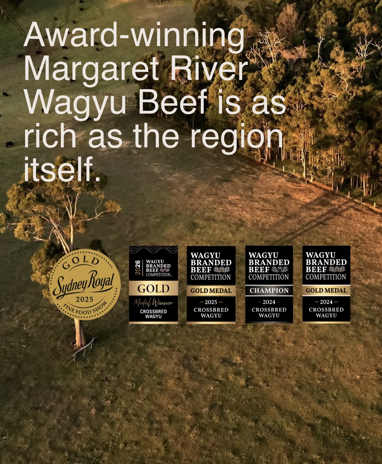 澳洲Margaret River全血和牛三角肉火鍋片（約200g）