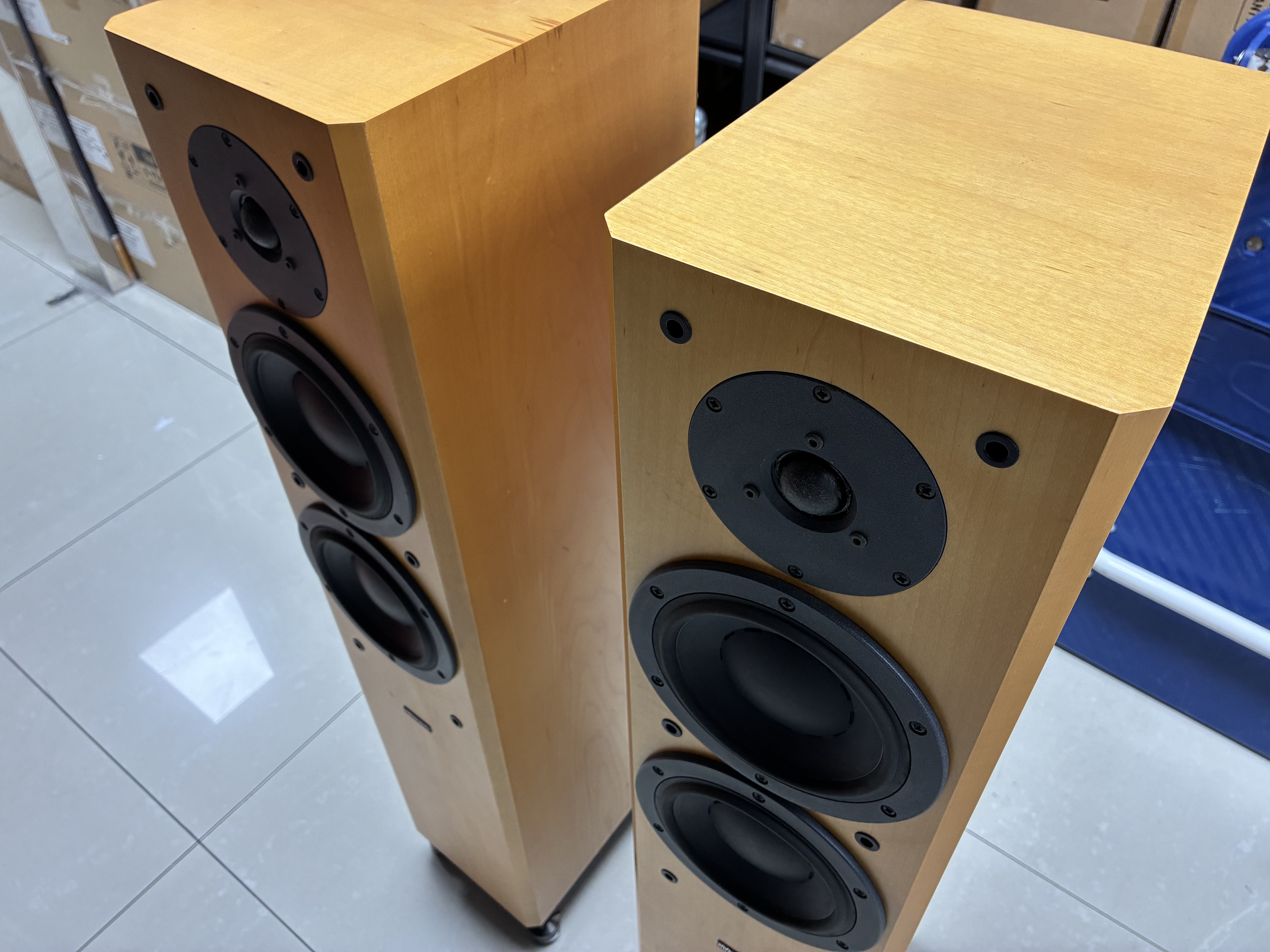 Dyna audio focus 220 (使用品）