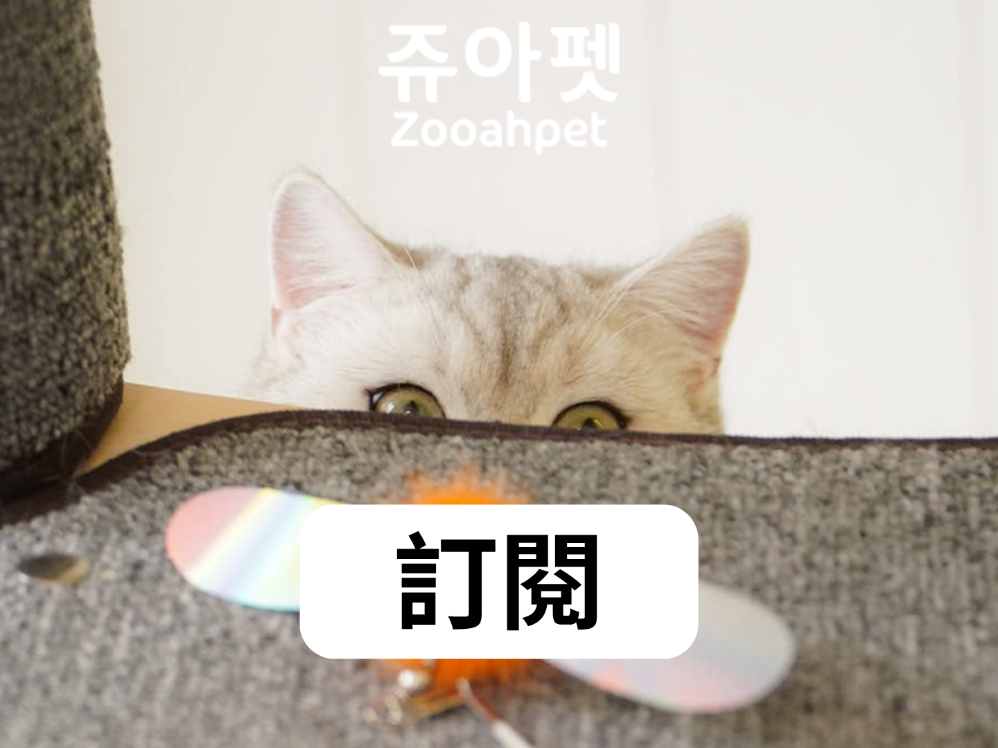 Mobile image