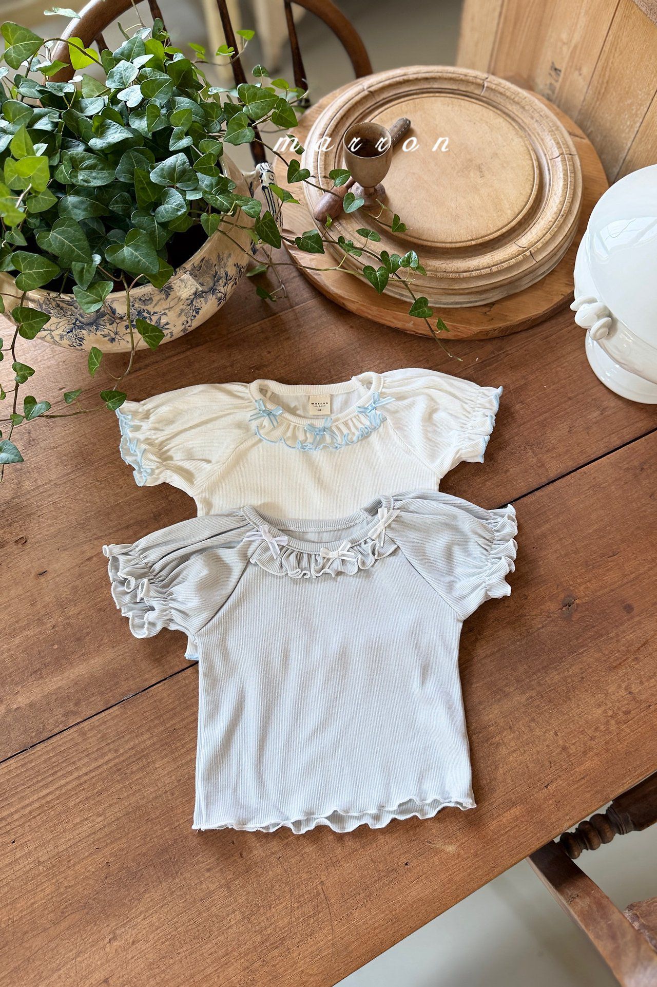 AW4231 Top