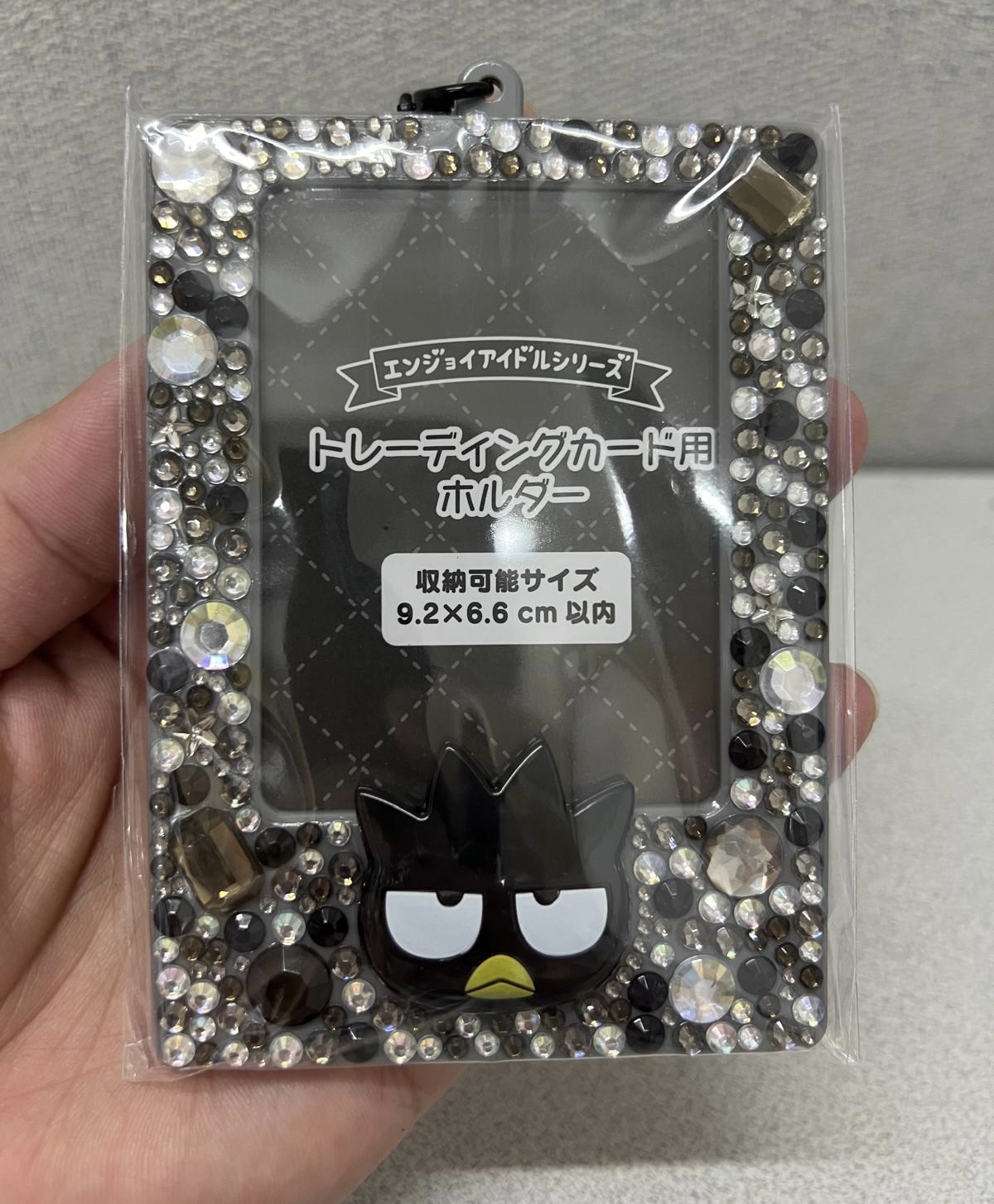 🎌日本直送🎌 Sanrio 閃石立體造型IC卡 相片收納盒掛飾