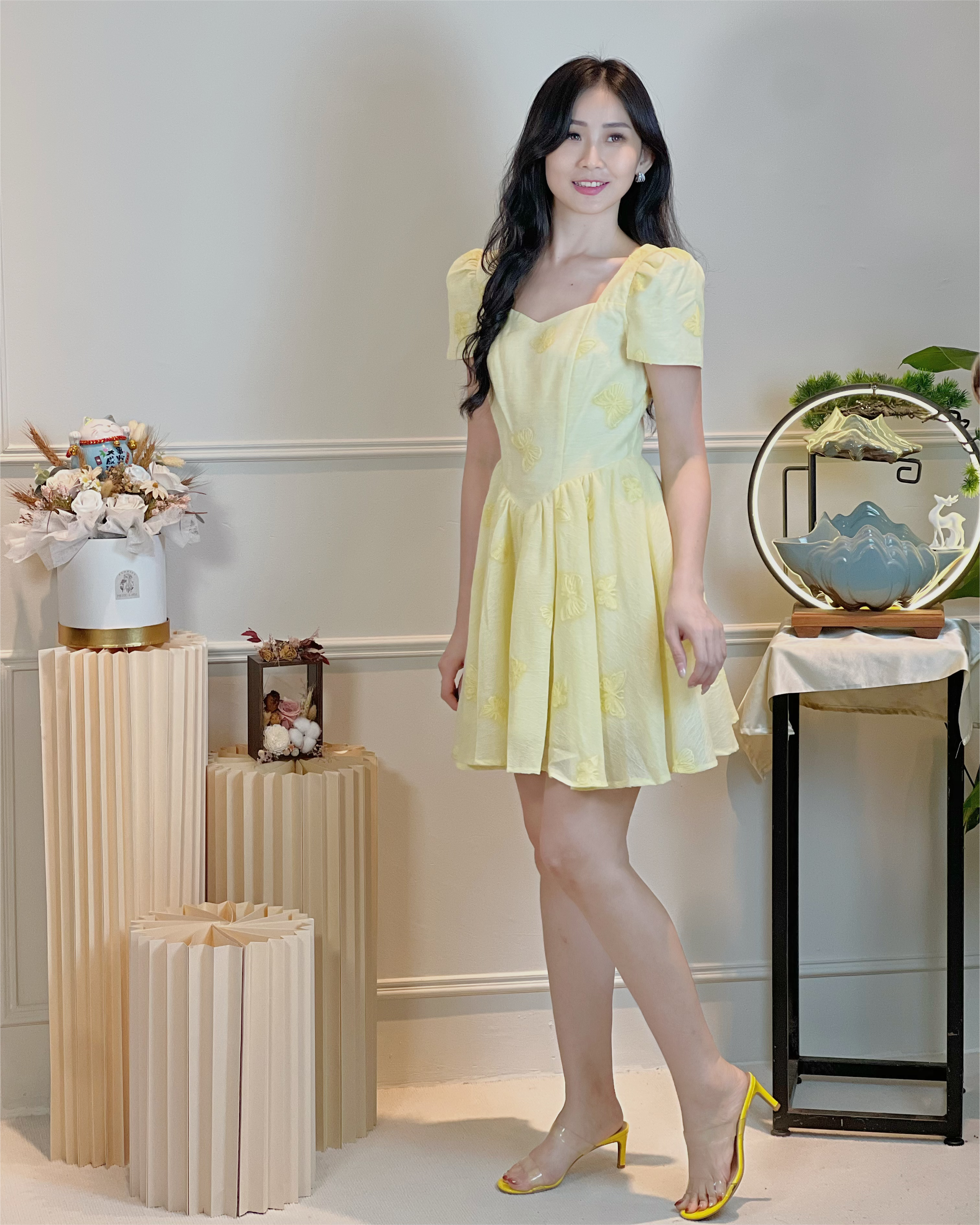 5101 Evangeline Embroidered Butterfly Mini Dress