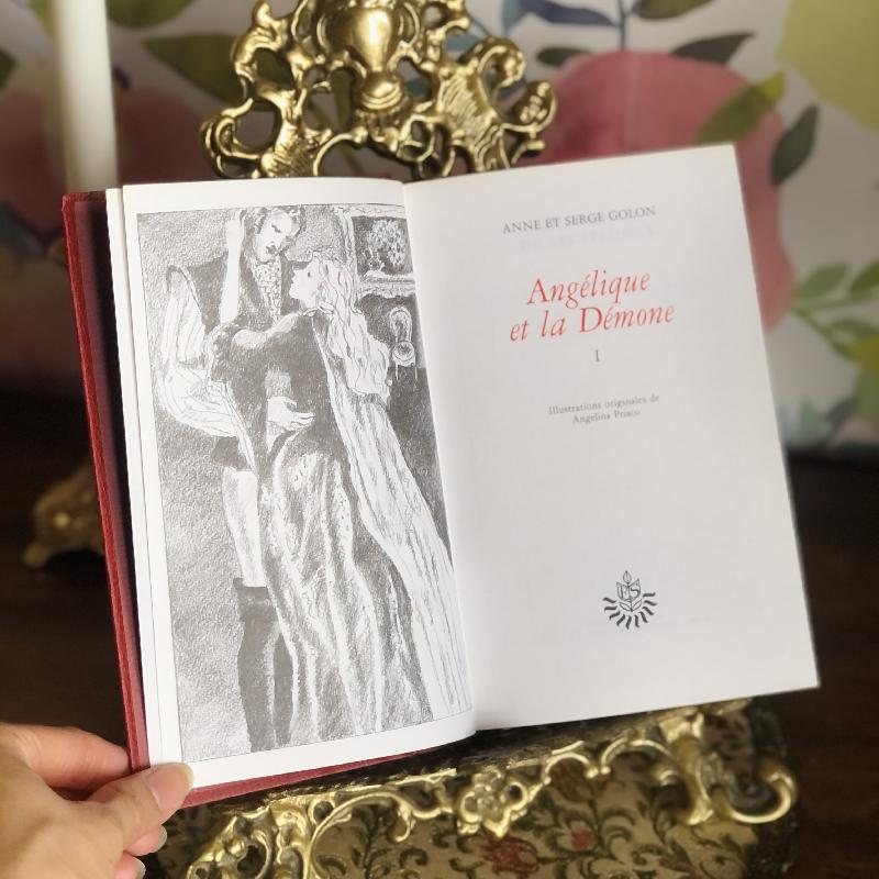 Elegant 1980s French Novel Les grandes Amoureuses/The Great Lovers By Anne Serge Golon (MT1010)