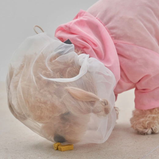 *Super Pet 🇰🇷 狗狗防護面罩 (DG427)