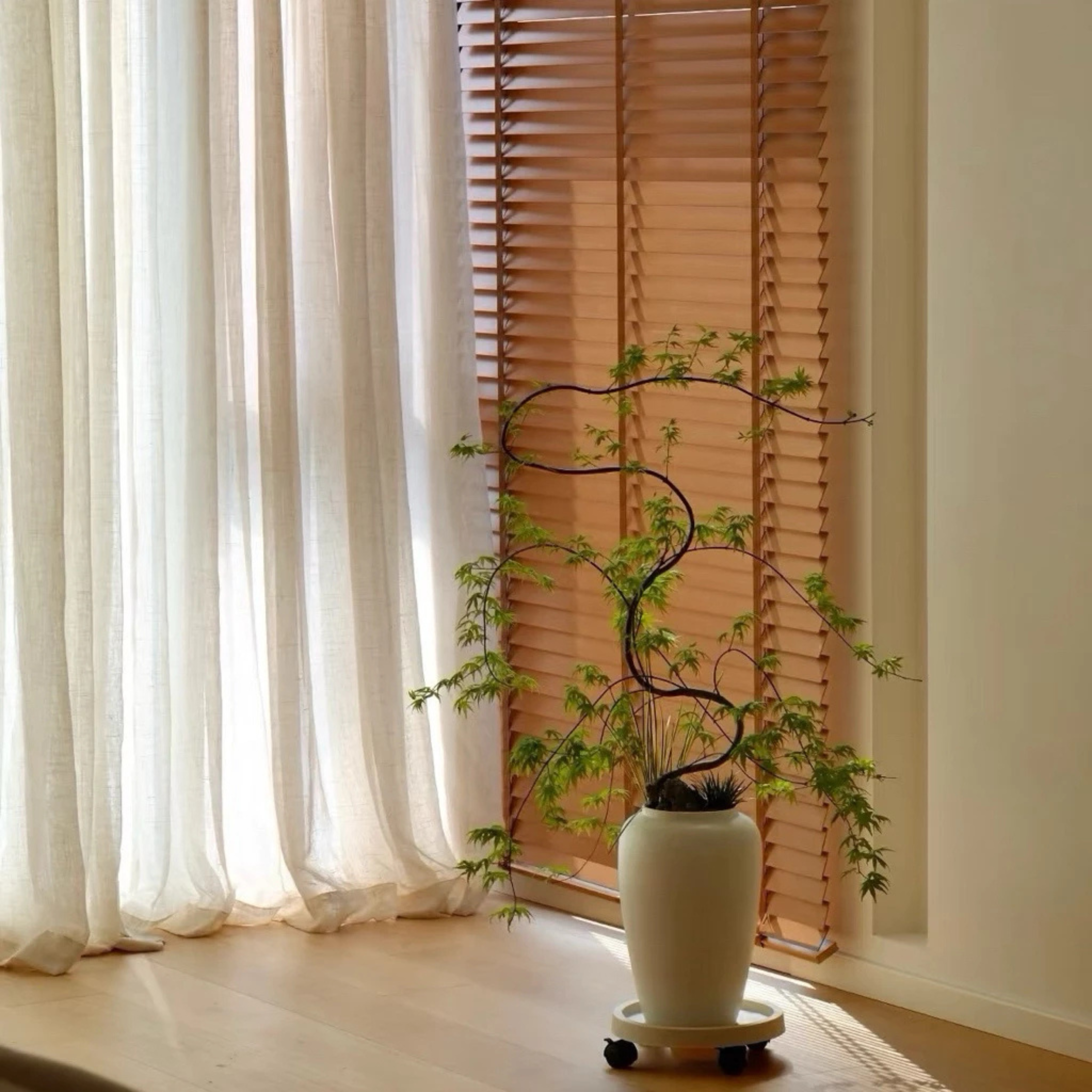 50mm PS Timber Blinds | Custom Made Window Blinds | Waterproof Wood Venetian Blind | Tirai Kayu | Friendly Use