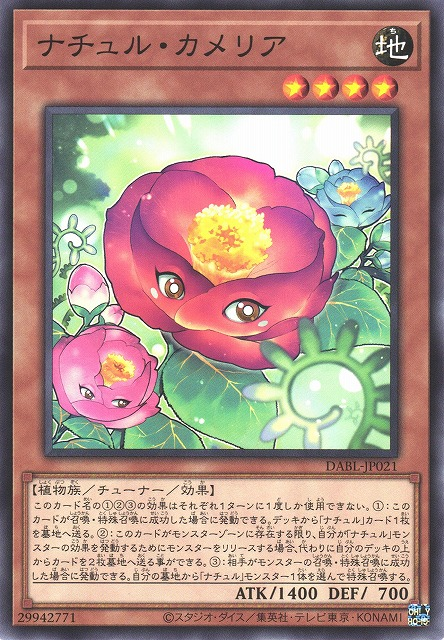 DABL-JP021 自然山茶花