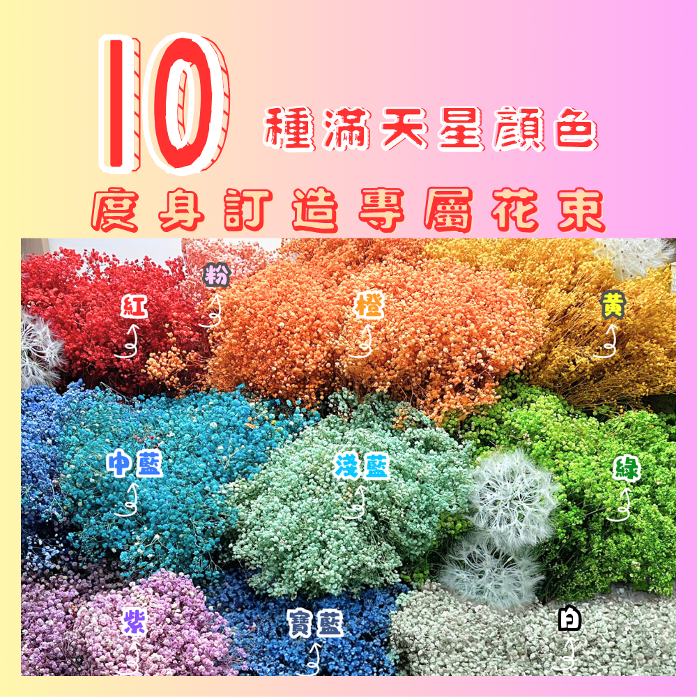A group of colorful flowers

Description automatically generated