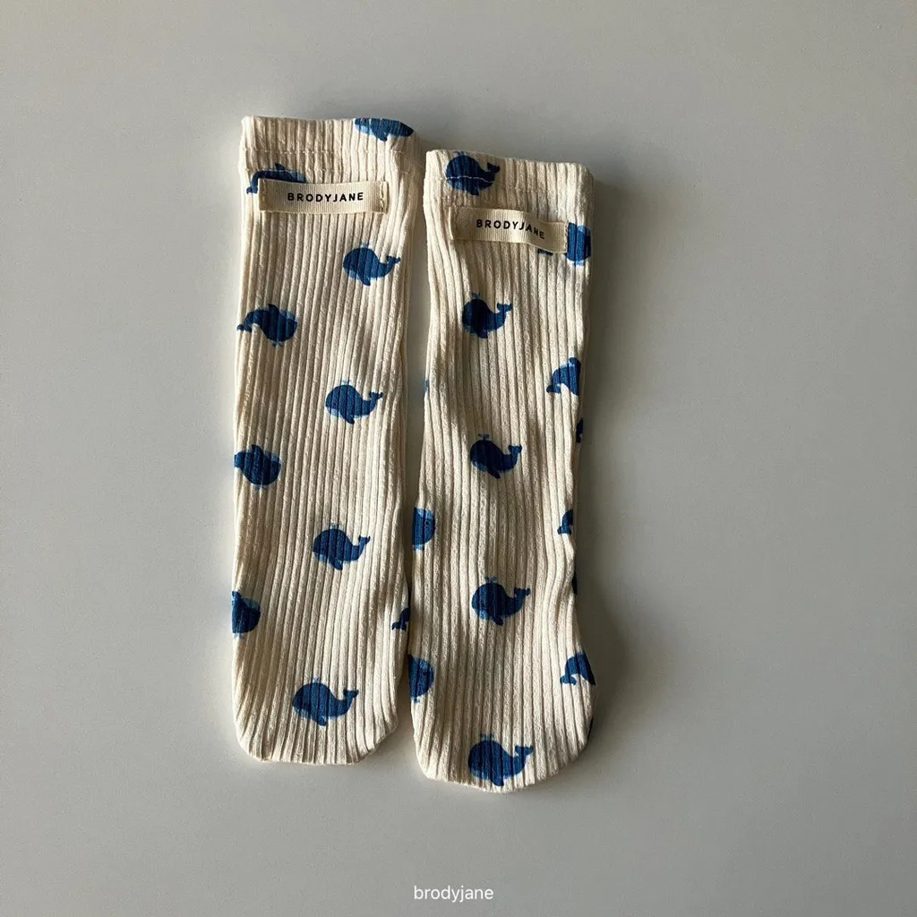 🇰🇷brodyjane socks 