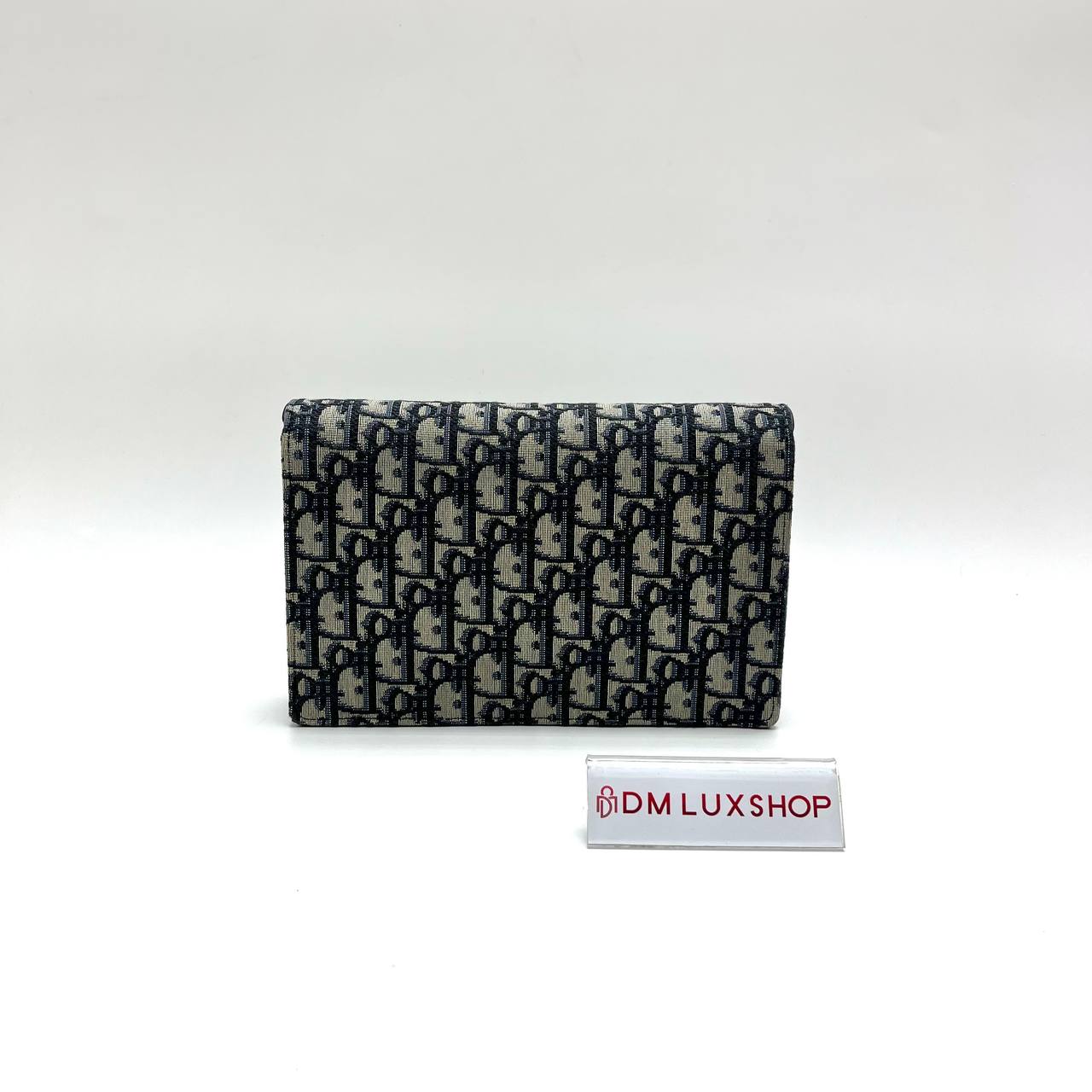 Dior Saddle Pouch with Chain