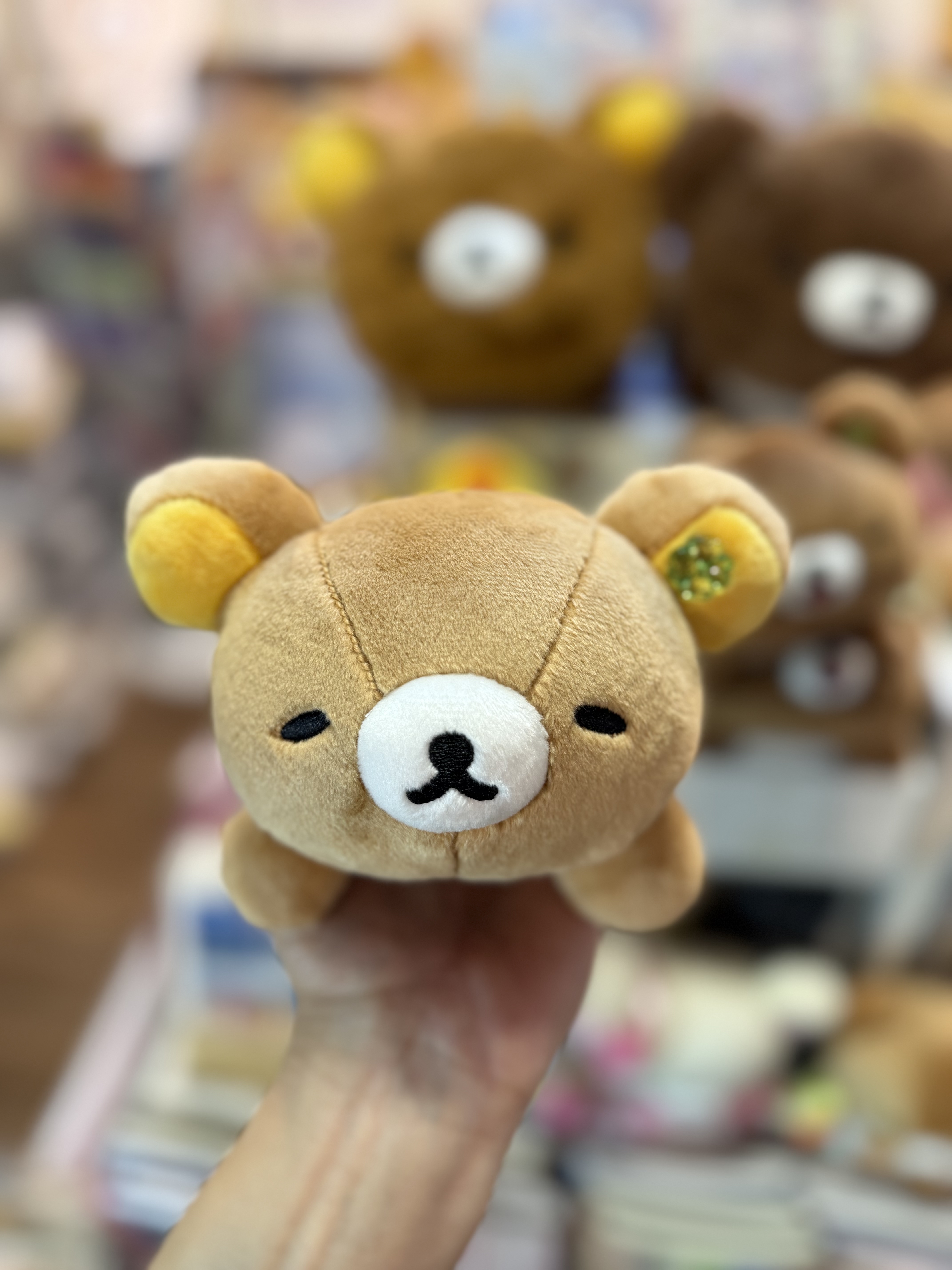 《現貨》全新小熊10週年紀念四葉草系列趴地公仔