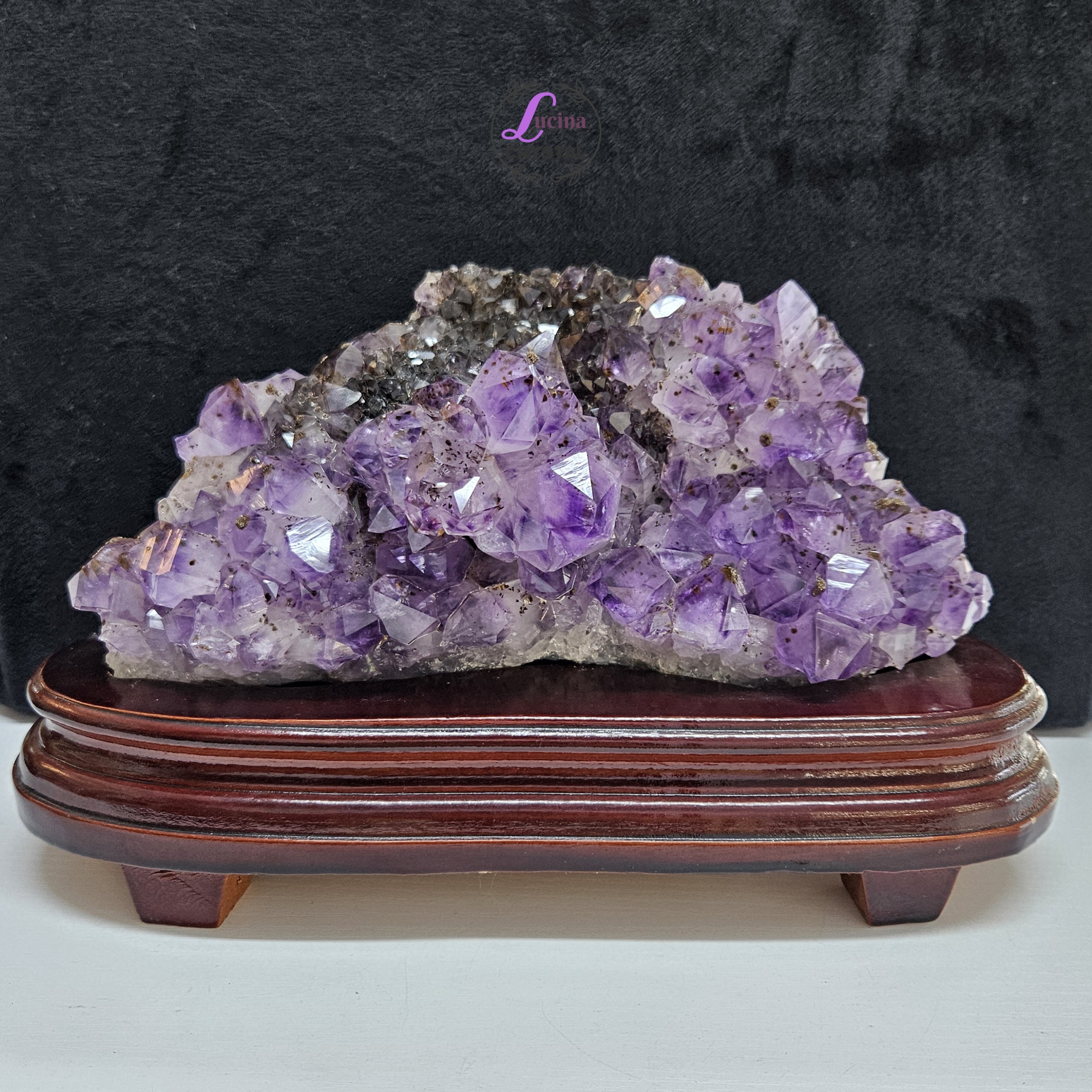 (Co#LC8556)紫鈦骨幹花水晶簇連木座/Elestial Amethyst Rutilated Flower Quartz Cluster w/wooden stand 