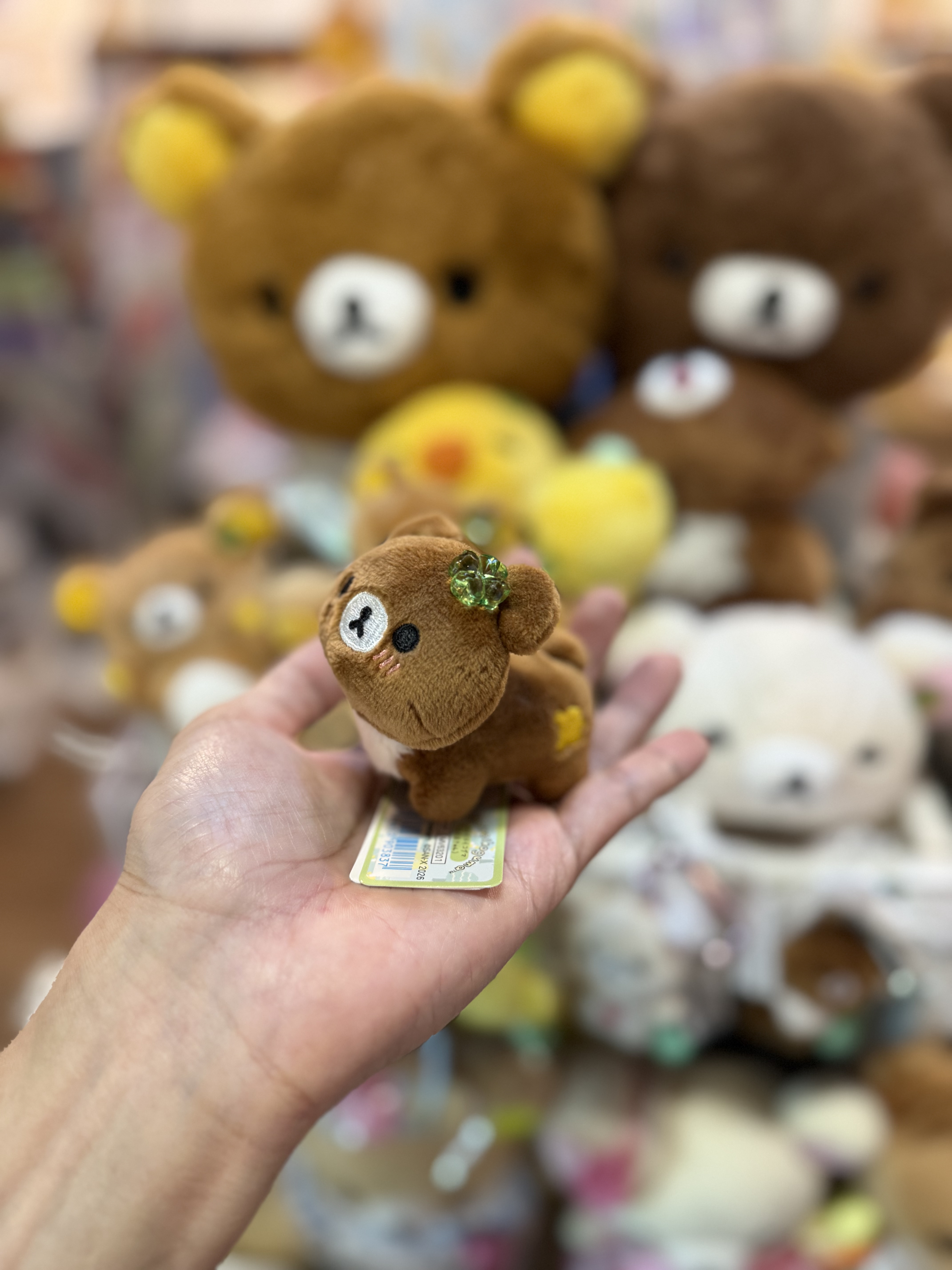 《現貨》全新小熊10週年紀念四葉草系列趴地手玉公仔