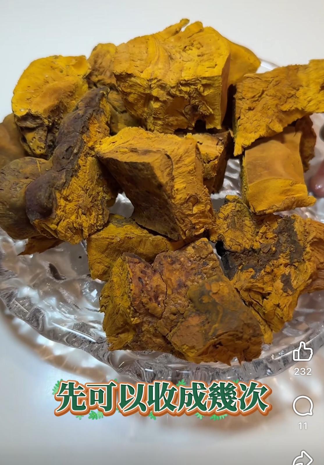 （約4月中到貨）🇰🇷韓國頂級桑黃 S級 (100g)💕