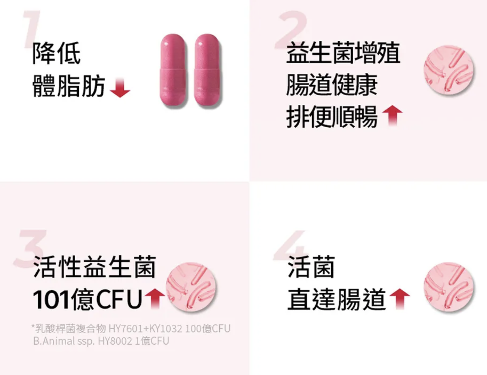 韓國 Foodology Coleology 纖體活性益生菌 20粒/裝｜Cut Diet Probiotics 