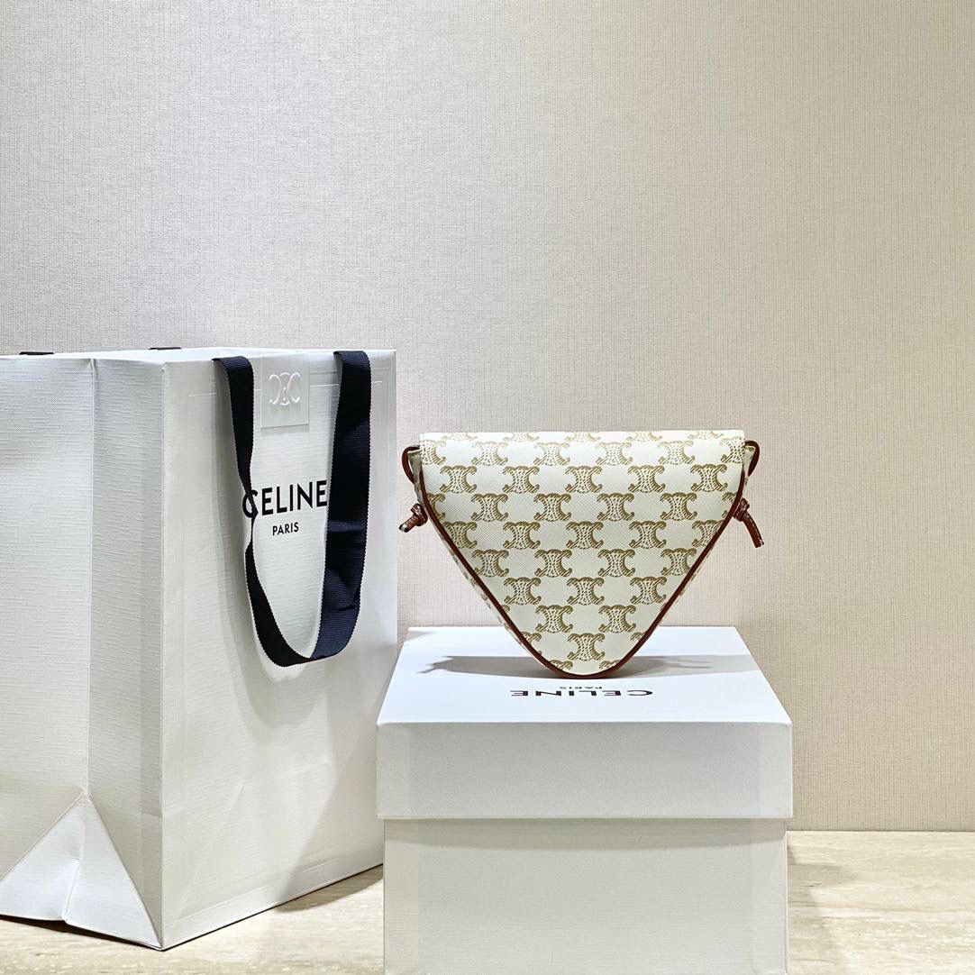 🔥大货实拍图 𝗖𝗘𝗟𝗜𝗡𝗘 ♥ 𝗧𝗥𝗜𝗢𝗠𝗣𝗛𝗘 𝗖𝗔𝗡𝗩𝗔𝗦三角形手袋 𝑪𝒆𝒍𝒊𝒏𝒆2021春夏竟出其不意的玩起了异形包，三角形造型很是别致，彰显不羁姿态，男女同款，吸晴选手✔ 型号：195902 尺寸：21*15*4cm