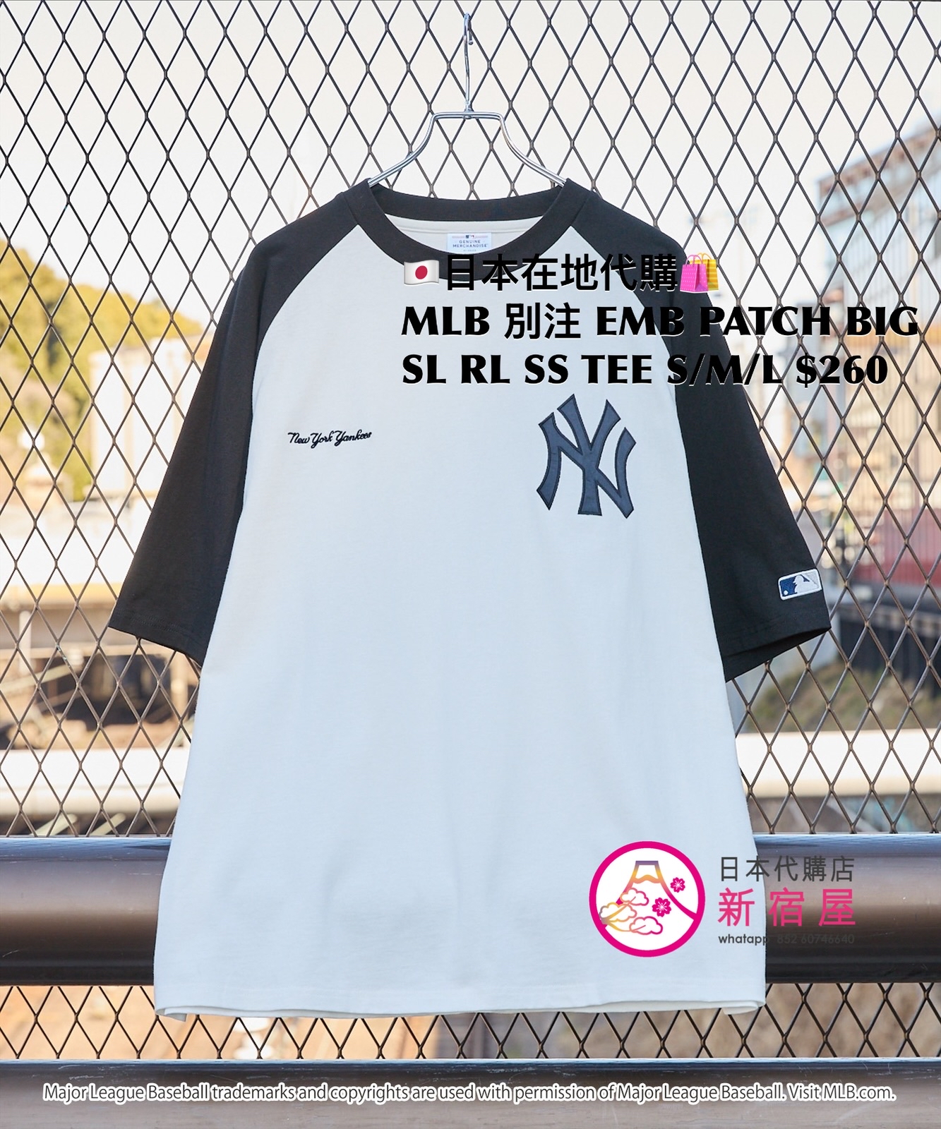 MLB 別注 EMBROIDERED PATCH BIG SILHOUETTE RAGLAN SS T-SHIRT