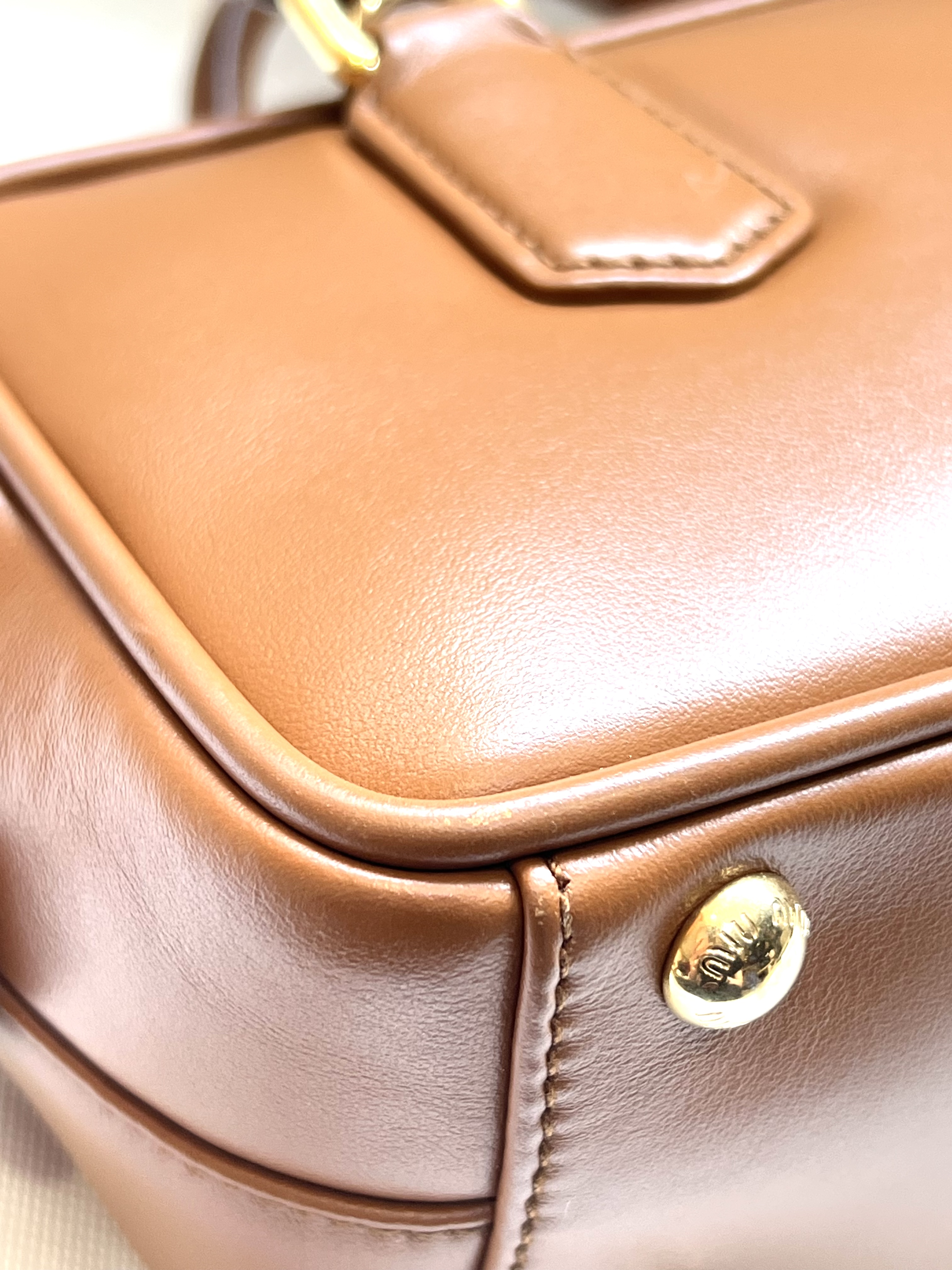 Pre-Owned Miu Miu Arcadie leather handbag / Product Code: 26041641