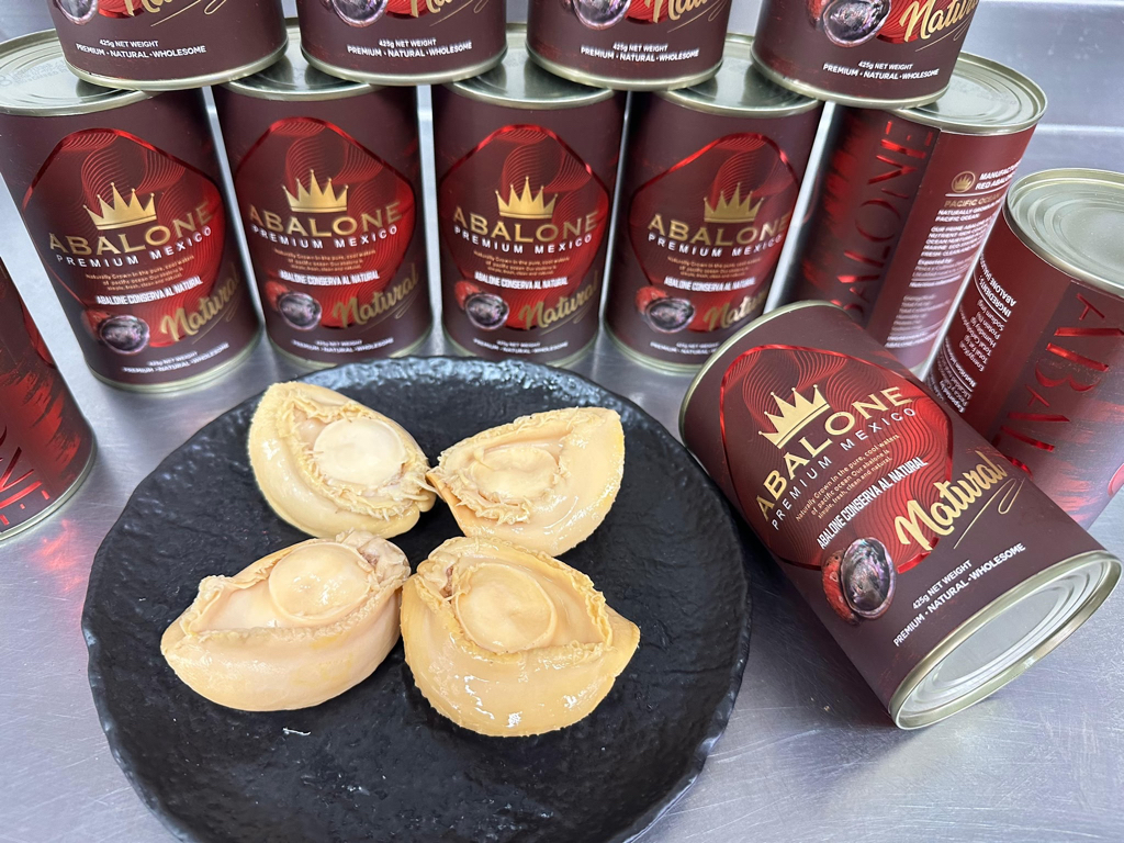 Abalone Premium Mexico紅包裝罐頭鮑魚4/6頭