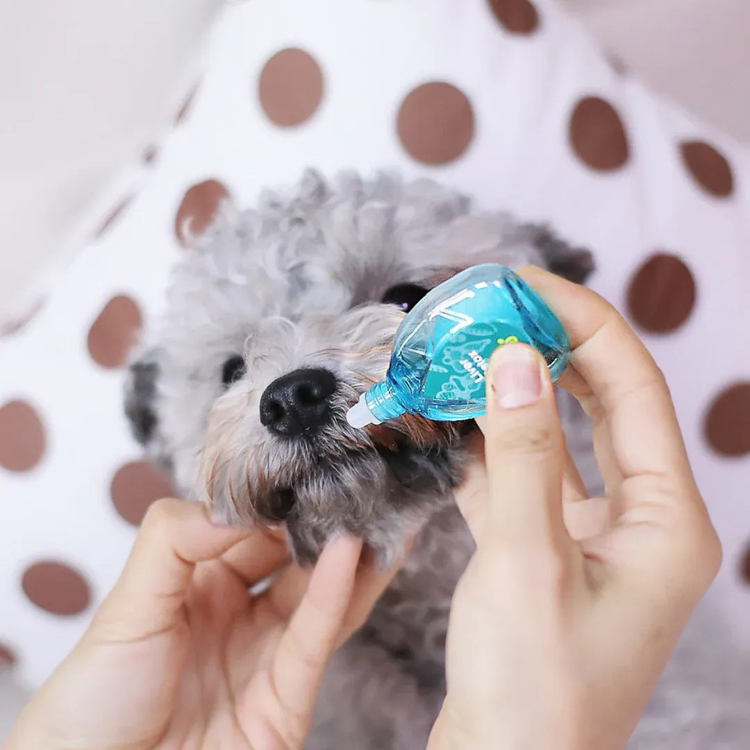 Aphro Paws健康心臟補充滴劑 |肝臟排毒補充滴劑 |寵物天然眼藥水