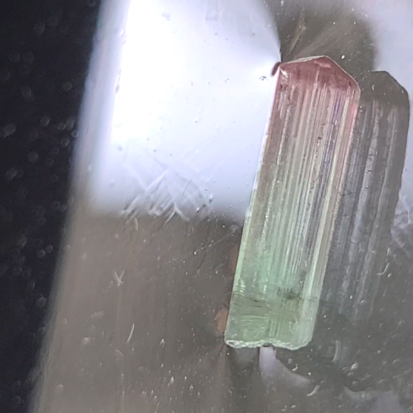 Bi-color tourmaline specimen from Afghanistan - TR48