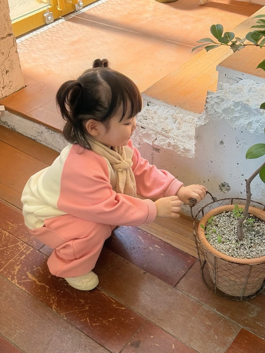 DOTTODOT 彩虹樂園拼色系列-登園衛衣上下套裝 90/100