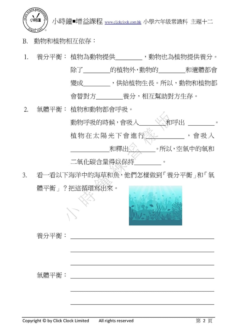 模擬試卷 (六年級)