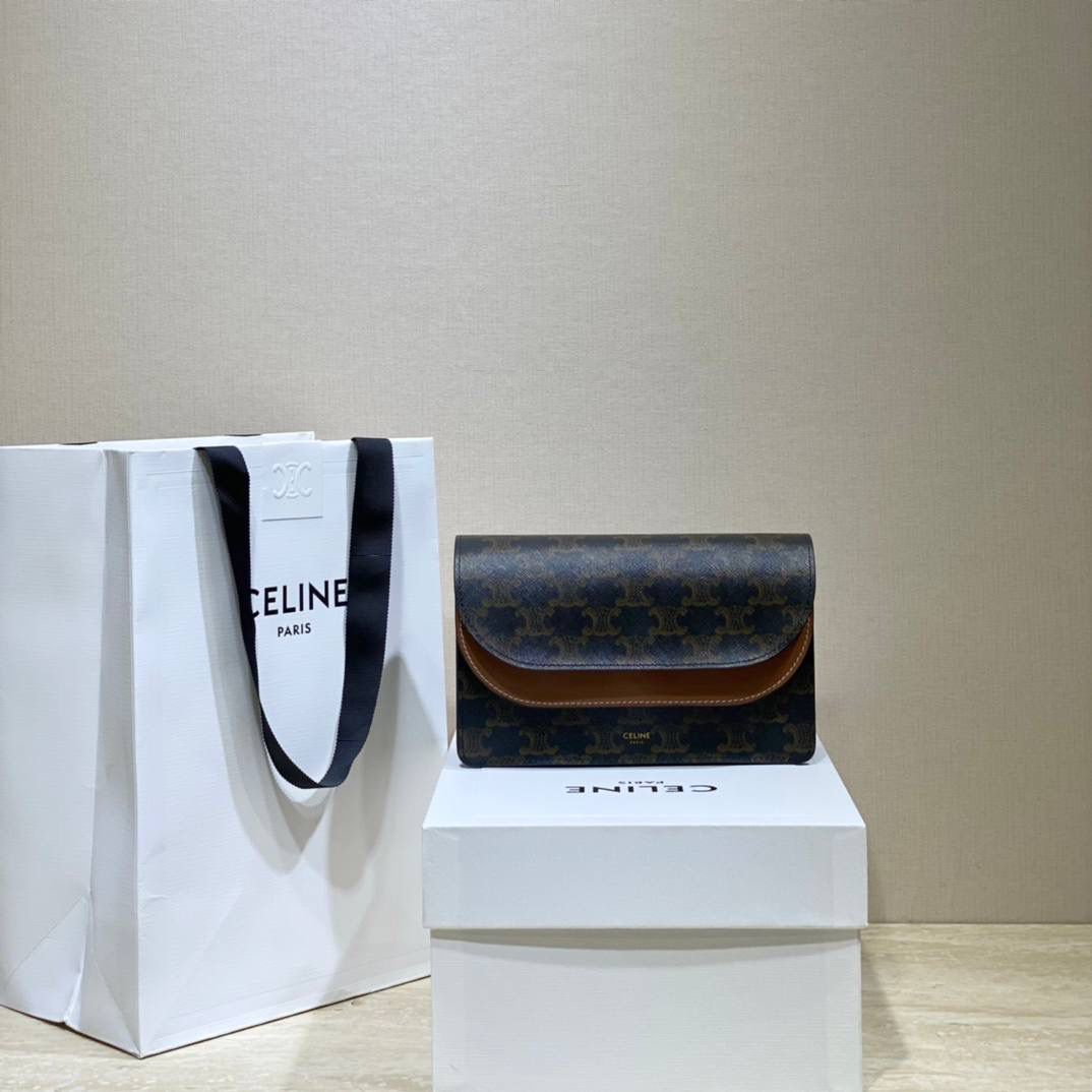 🔥大货实拍图 𝗖𝗘𝗟𝗜𝗡𝗘♥𝗖𝗔𝗡𝗩𝗔𝗦 𝗪𝗢𝗖风琴包 型号：10D852 尺寸：20*11.5cm