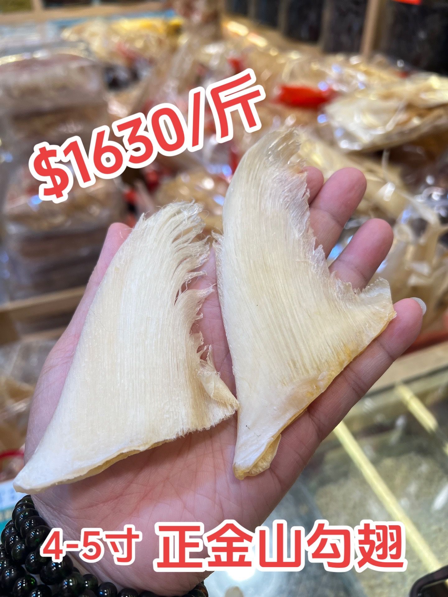 特級金山勾翅4-5吋