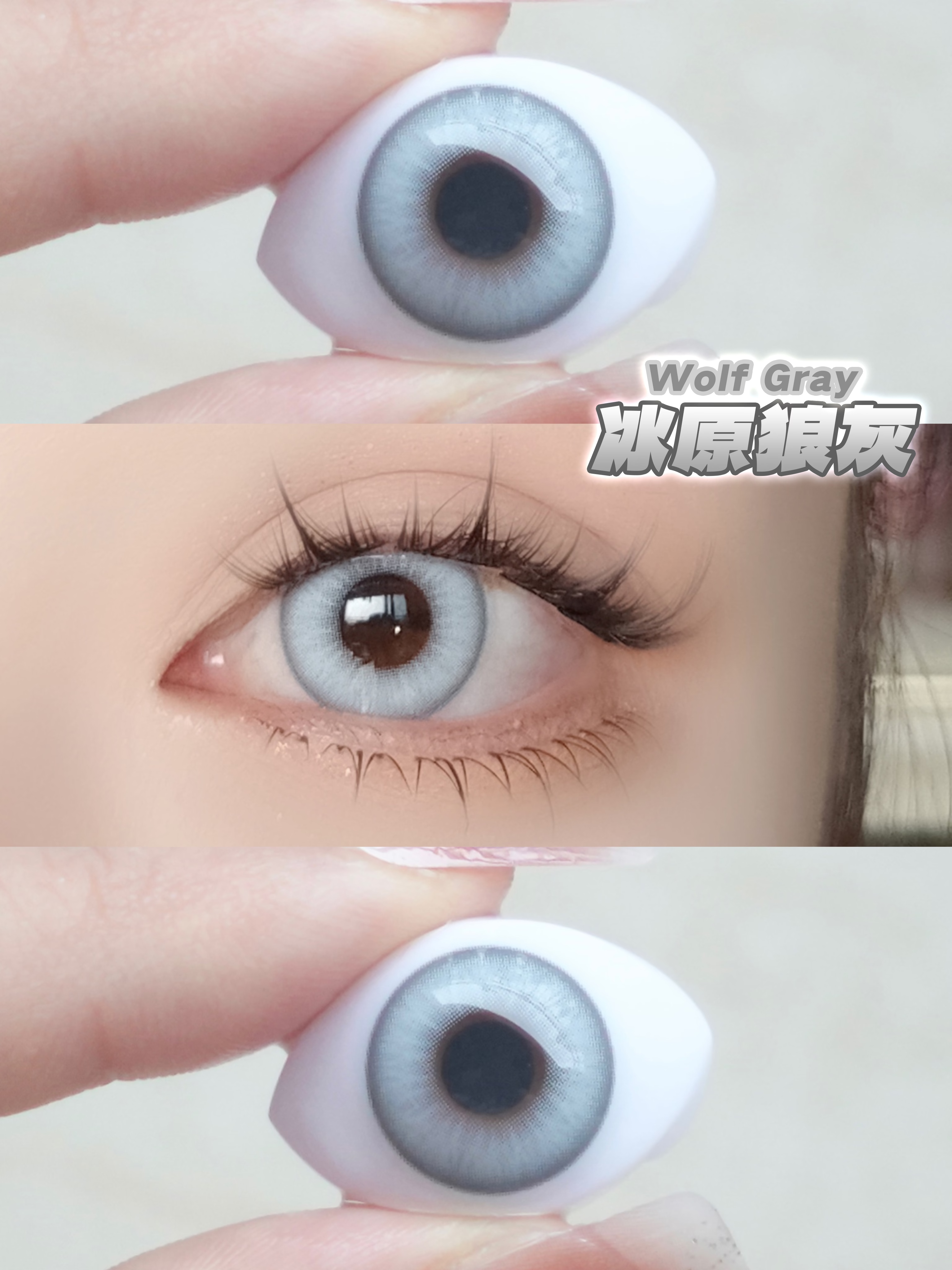 0度現貨 Cupid年拋 冰原狼灰