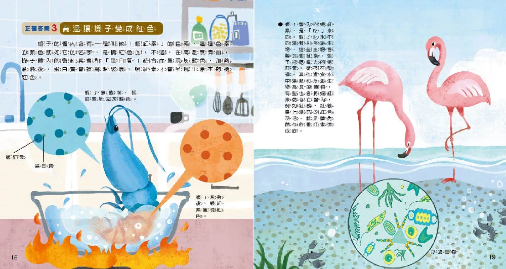 小牛頓 WOW原來是這樣：生活科學