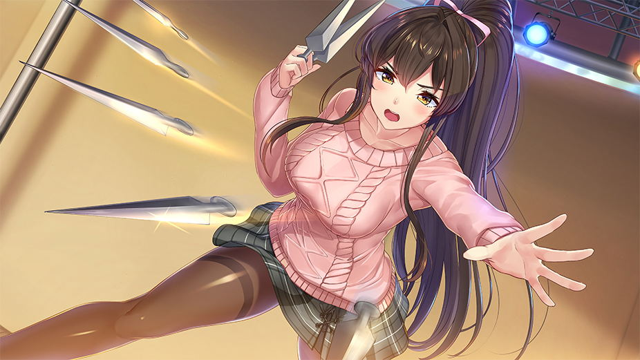 【預售 3/9】NS Days Collection: 女忍者戀愛二部曲 / Days Collection: NinNin Heroines 中/英/日文  (中文封面) NSW-4017