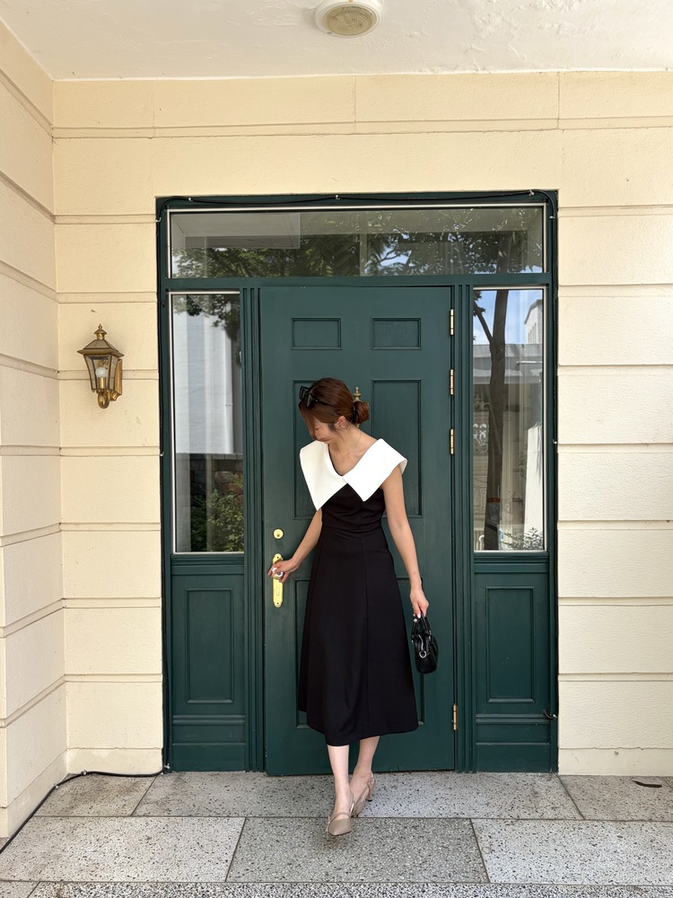 Celine Contrast Collar Dress