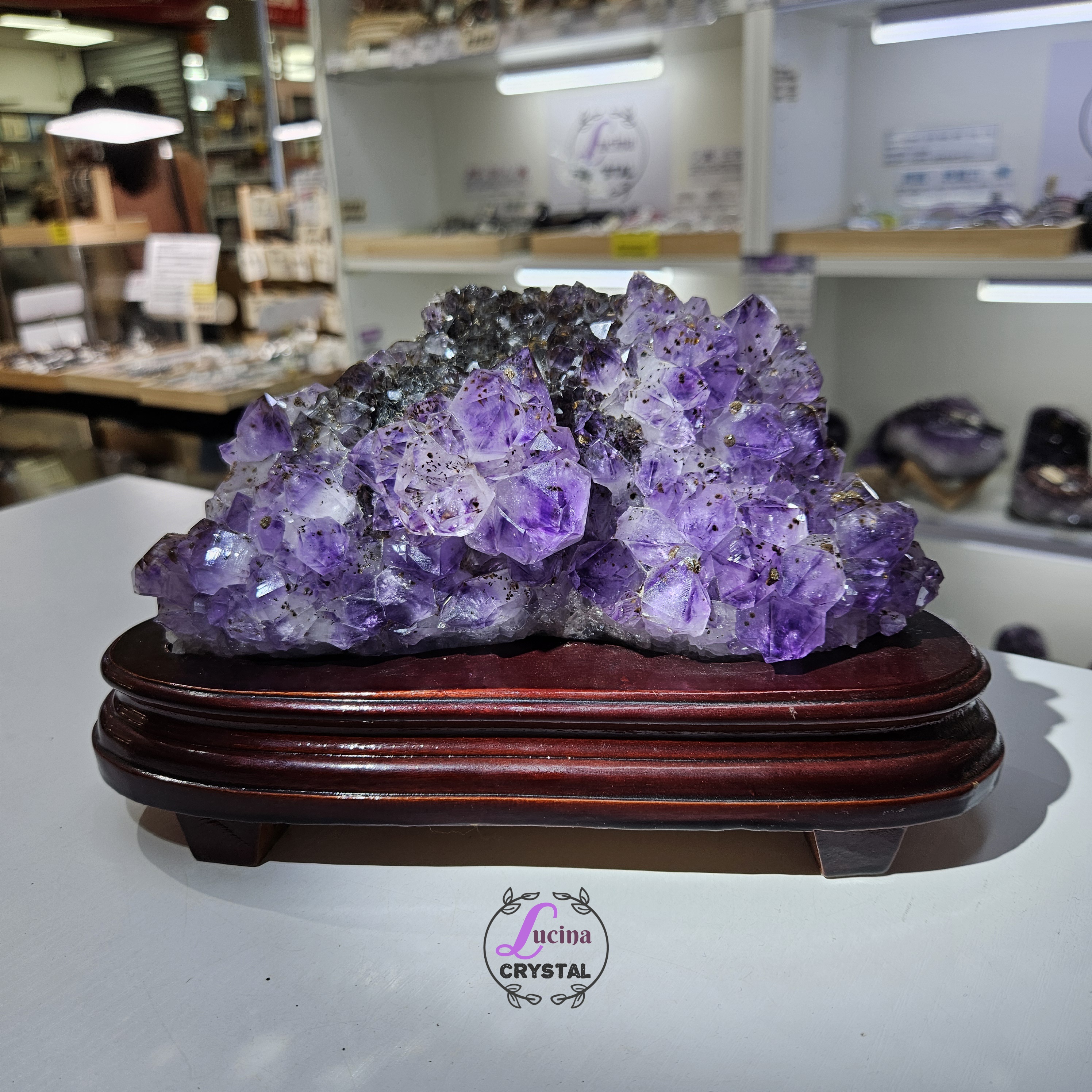 (Co#LC8556)紫鈦骨幹花水晶簇連木座/Elestial Amethyst Rutilated Flower Quartz Cluster w/wooden stand 