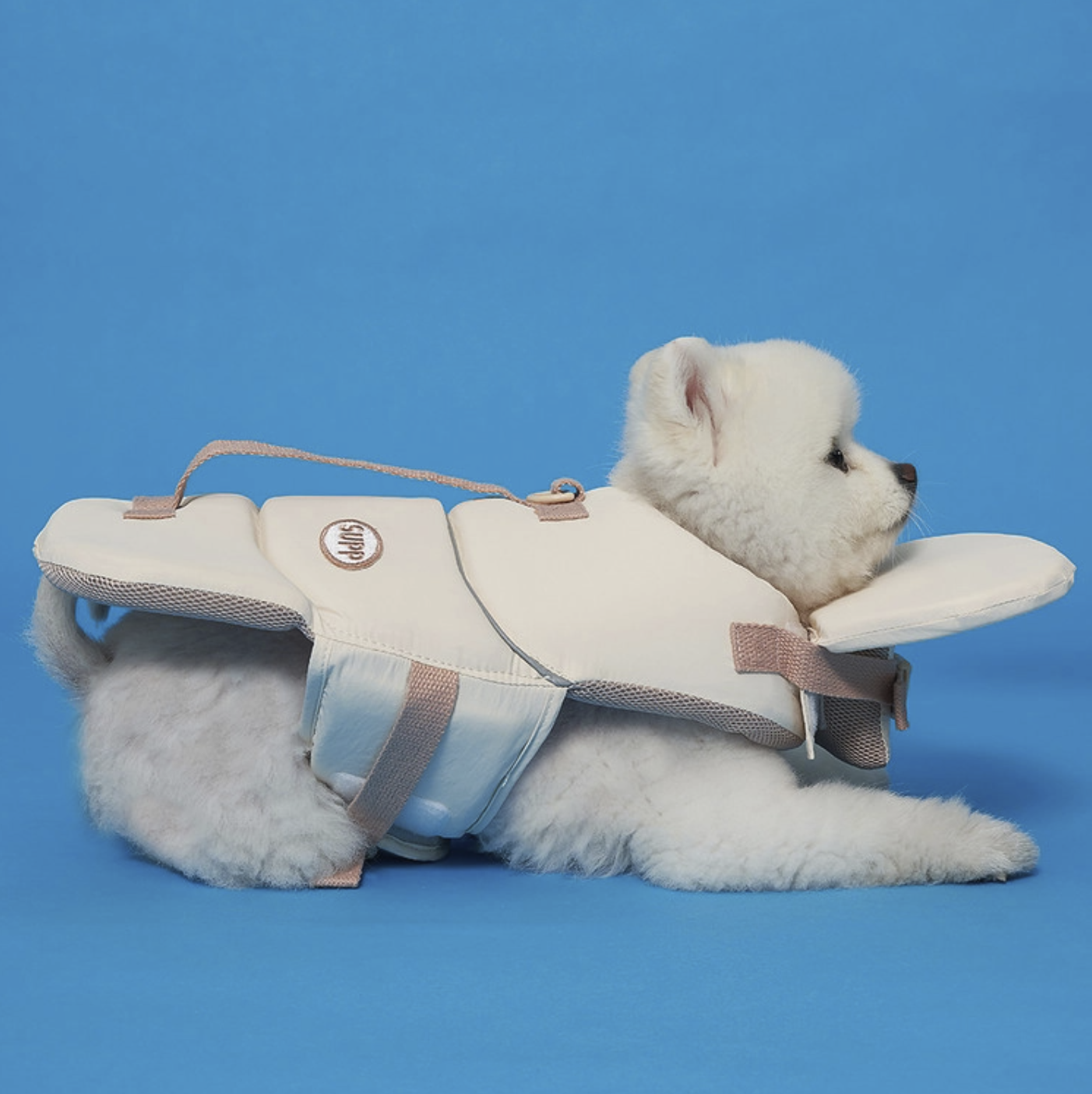 *SuperPet 🇰🇷 夏日必備 Joyful 狗狗救生衣