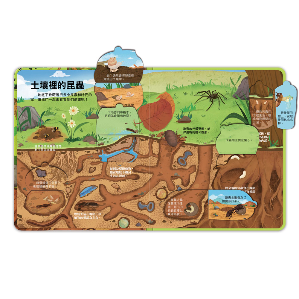 📚預訂 台灣直送📚百問百答圖解翻翻書-揭祕昆蟲