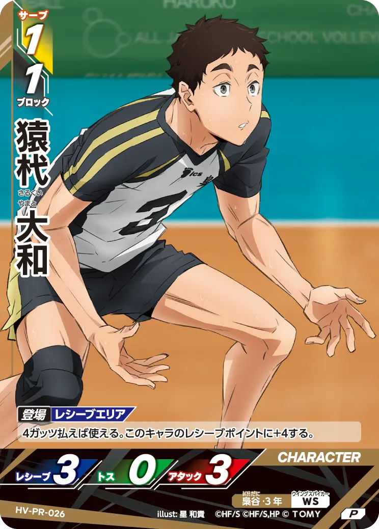 HV-PR-026 猿杙 大和 P