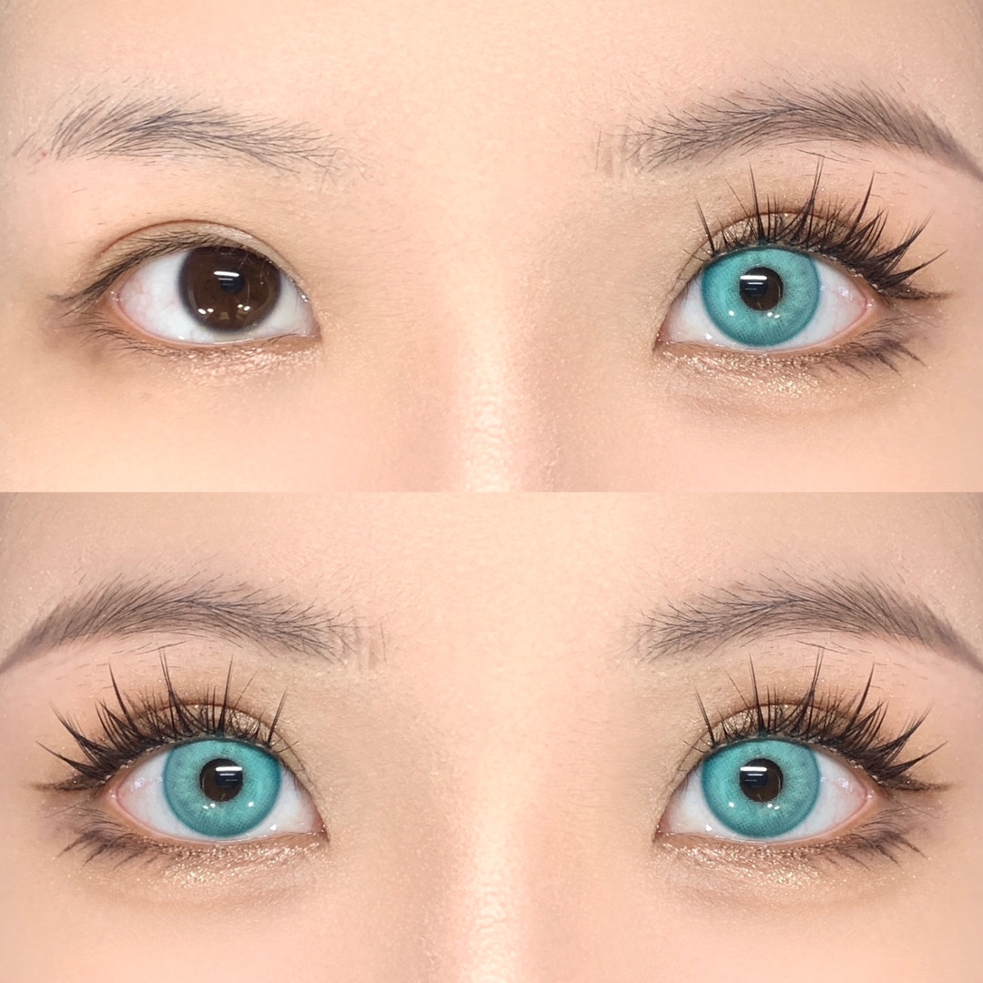 Dgugulens 日拋 神座系列