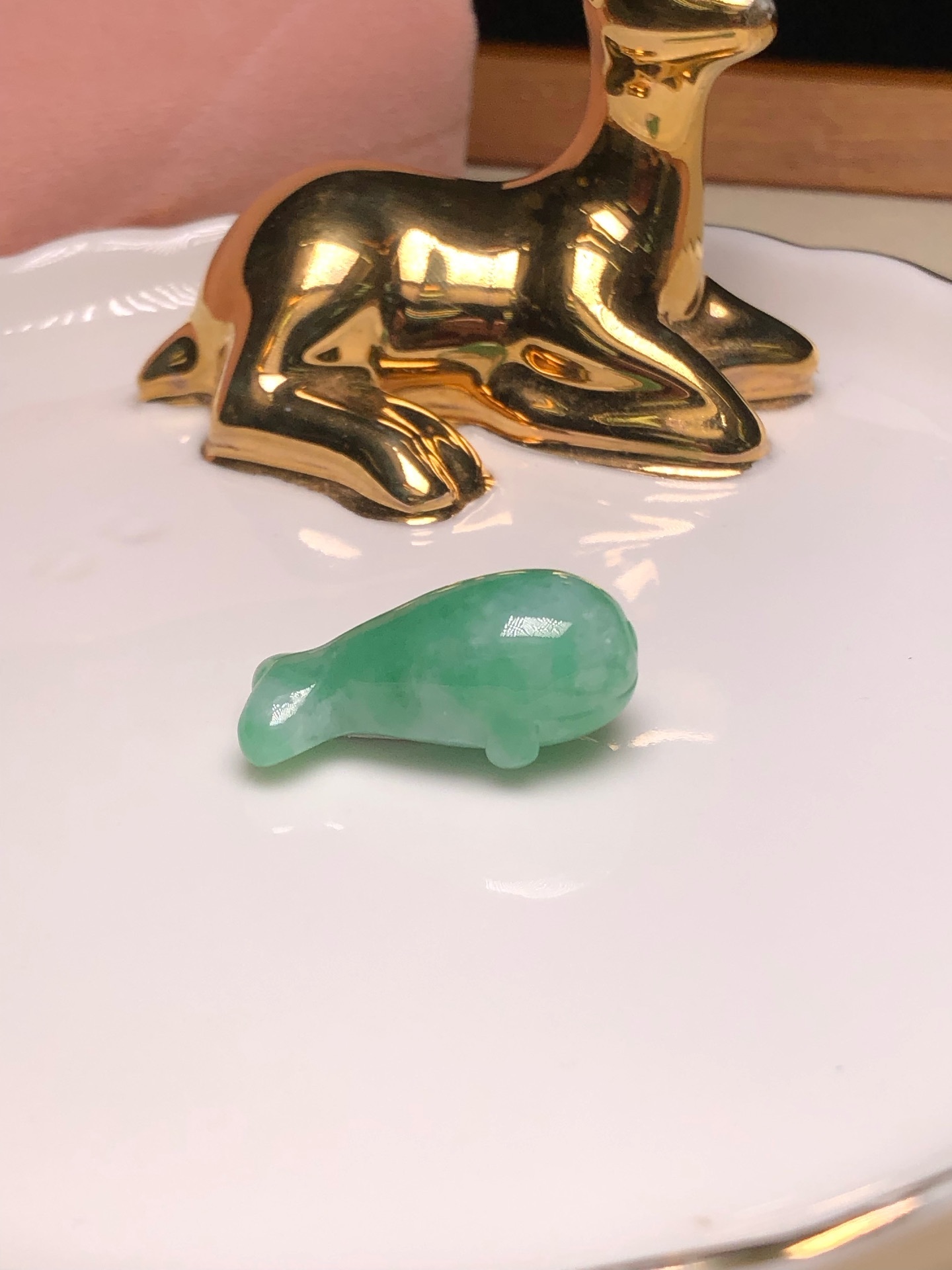 翡翠小海獅 B02704