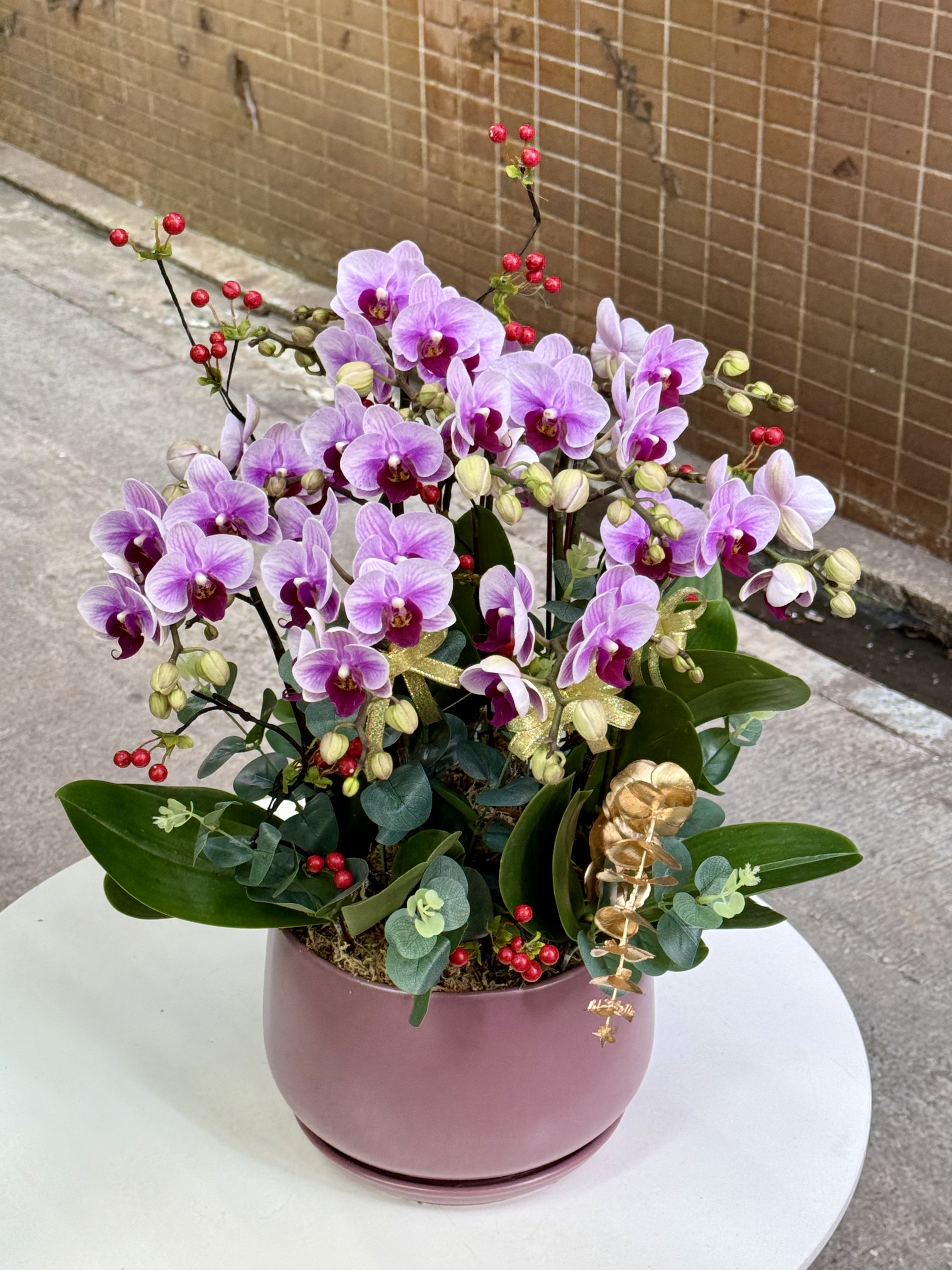 小粉花_10菖_OR006