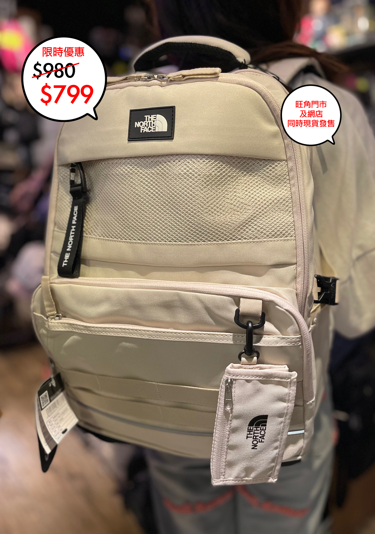 The North face 韓國限定 Dual pro III backpack 系列