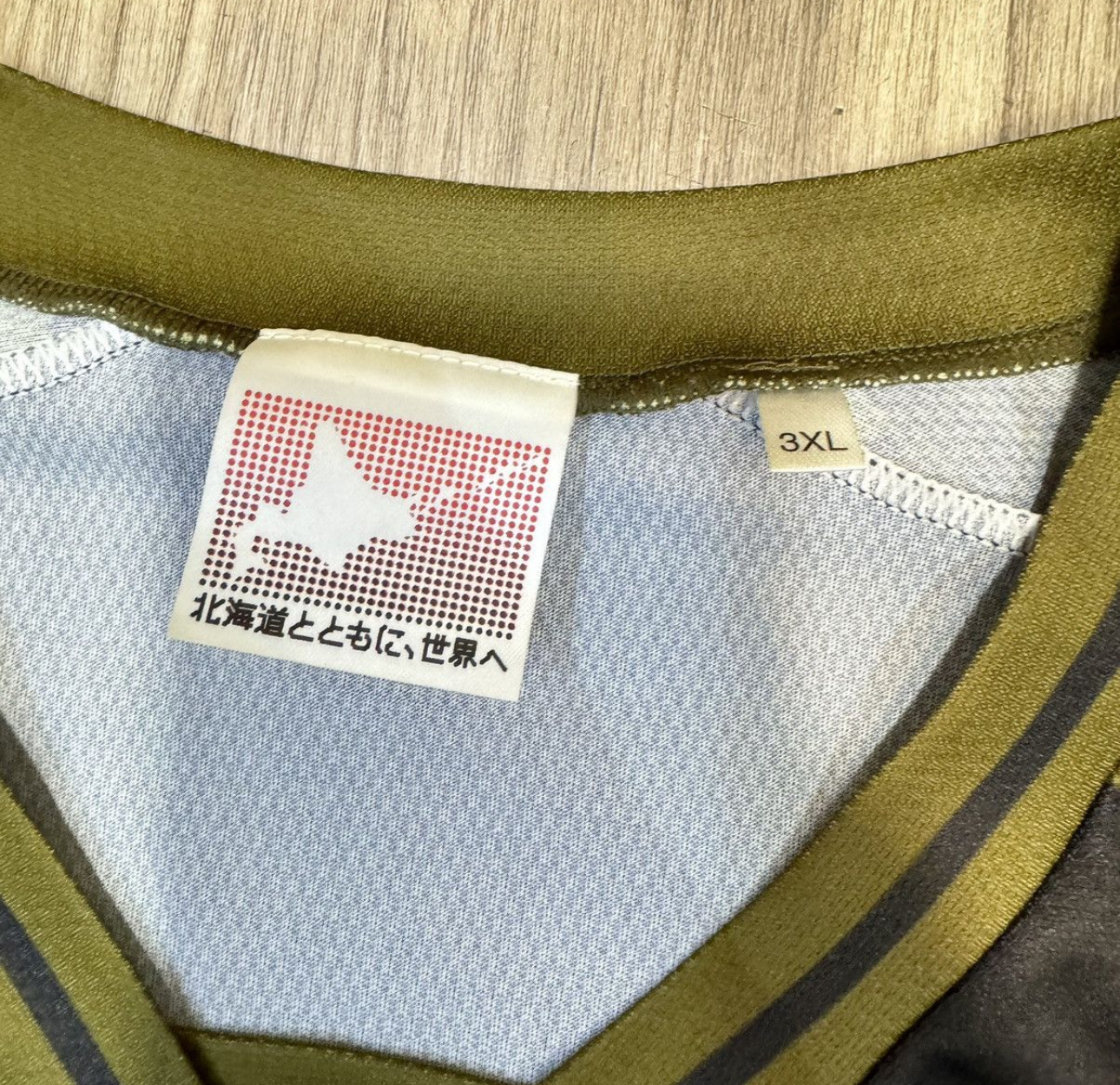 Consadole sapporo 2024 away shirt