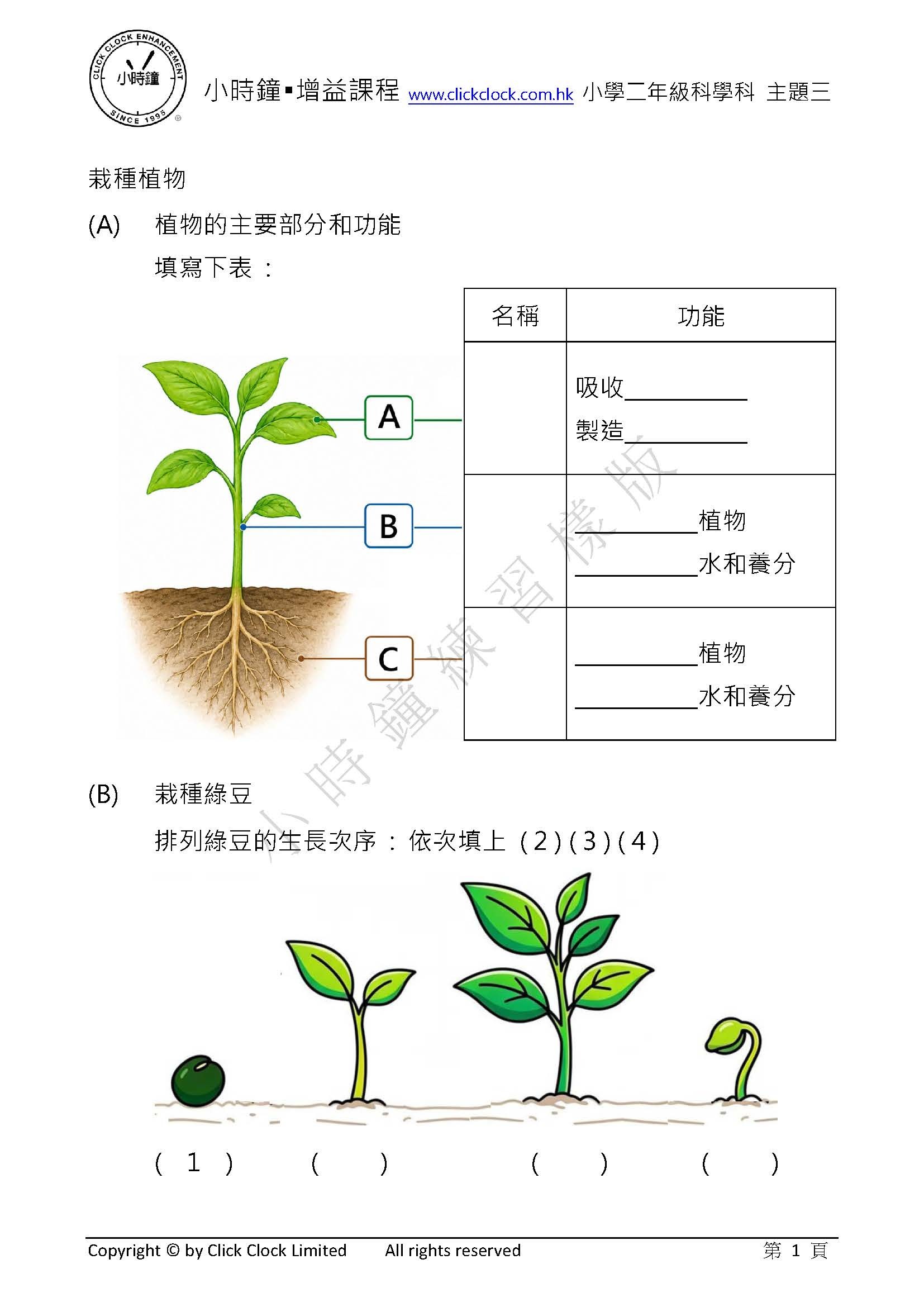 P2 小學 科學科 (中文版)