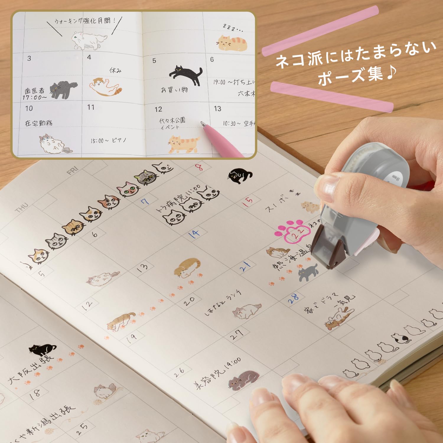 現貨｜PLUS Neco Rush 貓貓 日版 手帳裝飾膠帶 Decoration Tape (英國短毛貓 91-563)