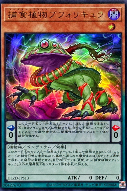 BLZD-JPS13(UR) 捕食植物土瓶草蟾蜍