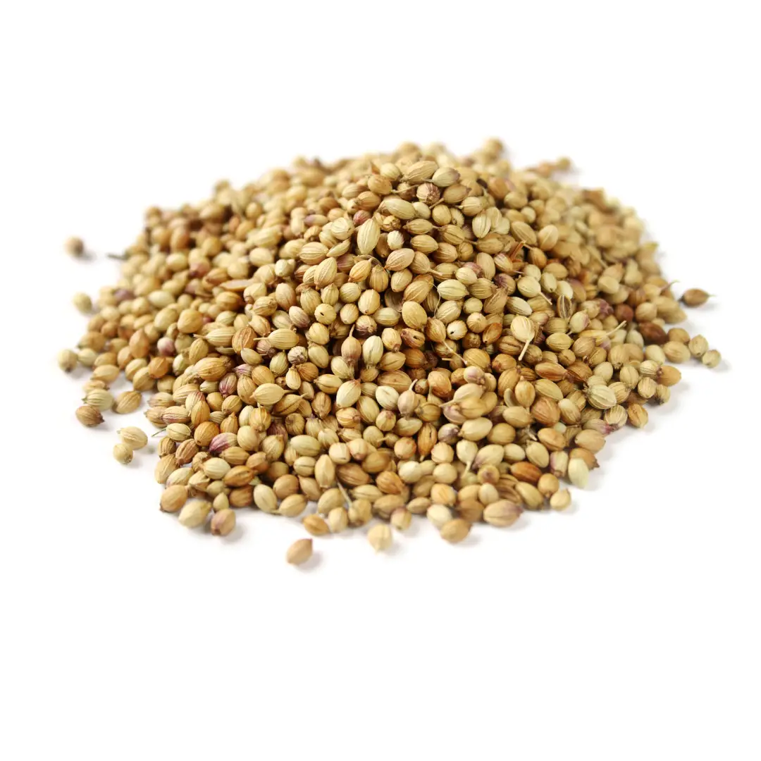 芫茜籽 , 天然香料, 清新柑橘香氣, 咖喱及醃肉提香, Premium Coriander Seeds — Natural Spice with Fresh Citrus Aroma — Essential for Curry & Marinades, उत्तम धनिया के बीज — प्राकृतिक मसाला, ताज़ा खट्टे फलों जैसी सुगंध — करी और मैरिनेशन के लिए आवश्यक 